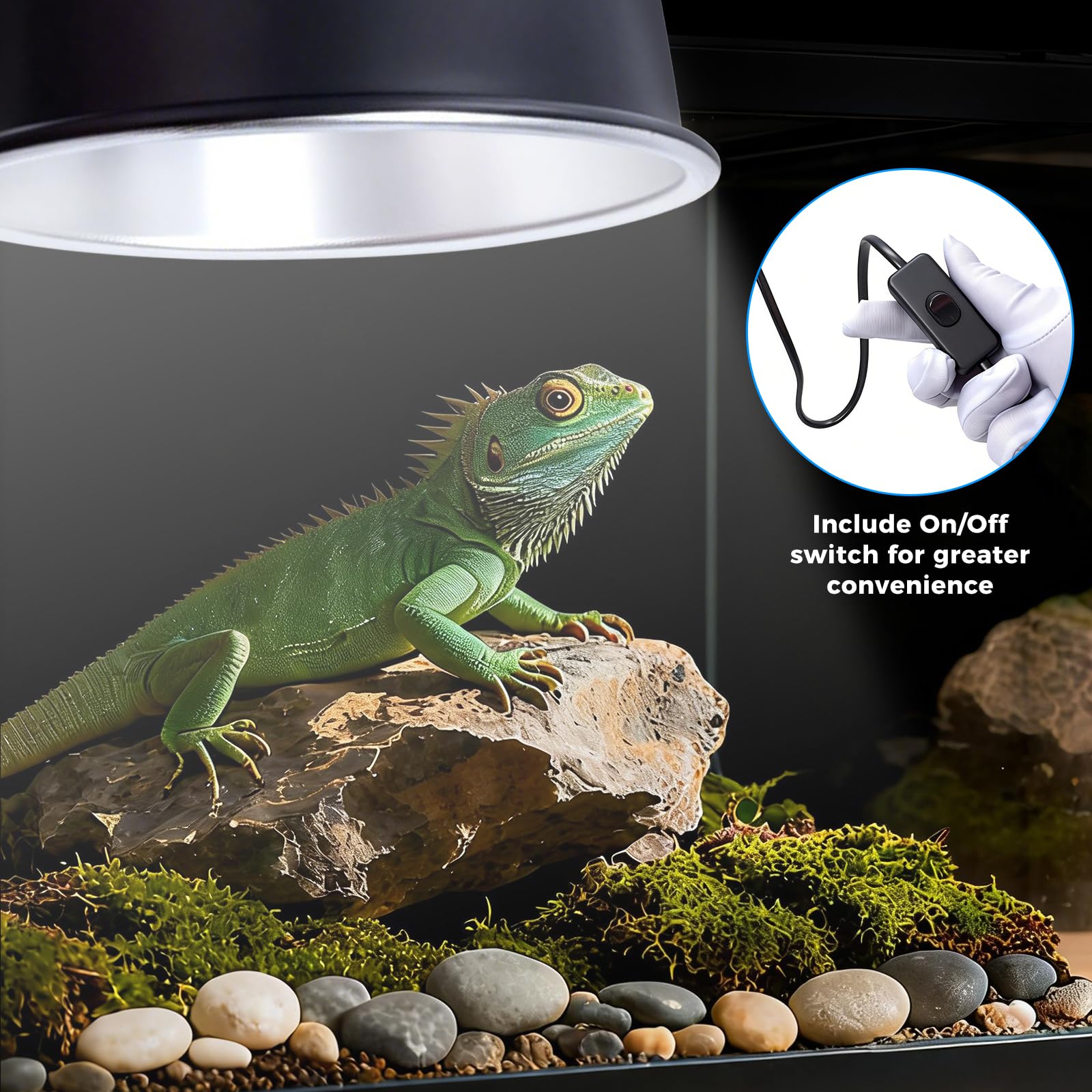 5.5 Inch Reptile Deep Dome Light Fixture - UVB Heat Lamp Holder with Ceramic Socket for Bearded Dragons, Geckos, Turtles - Hanging Hook Design with Safety Switch for Terrarium Lighting - image 6