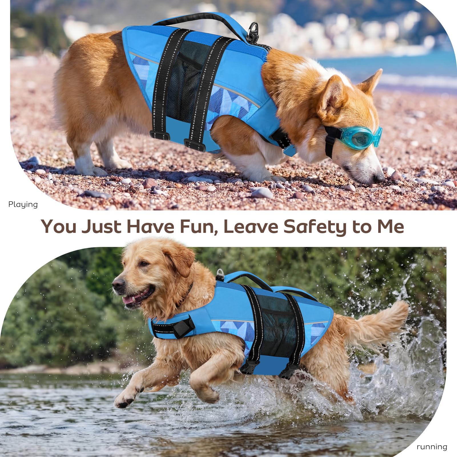 CITÉTOILE Giubbotti di Salvataggio per Cani, Regolabile Salvagente per Animali con Manico, Costume da Bagno di Sicurezza in Acqua per la Vela in Piscina Sulla Spiaggia, Blu, M