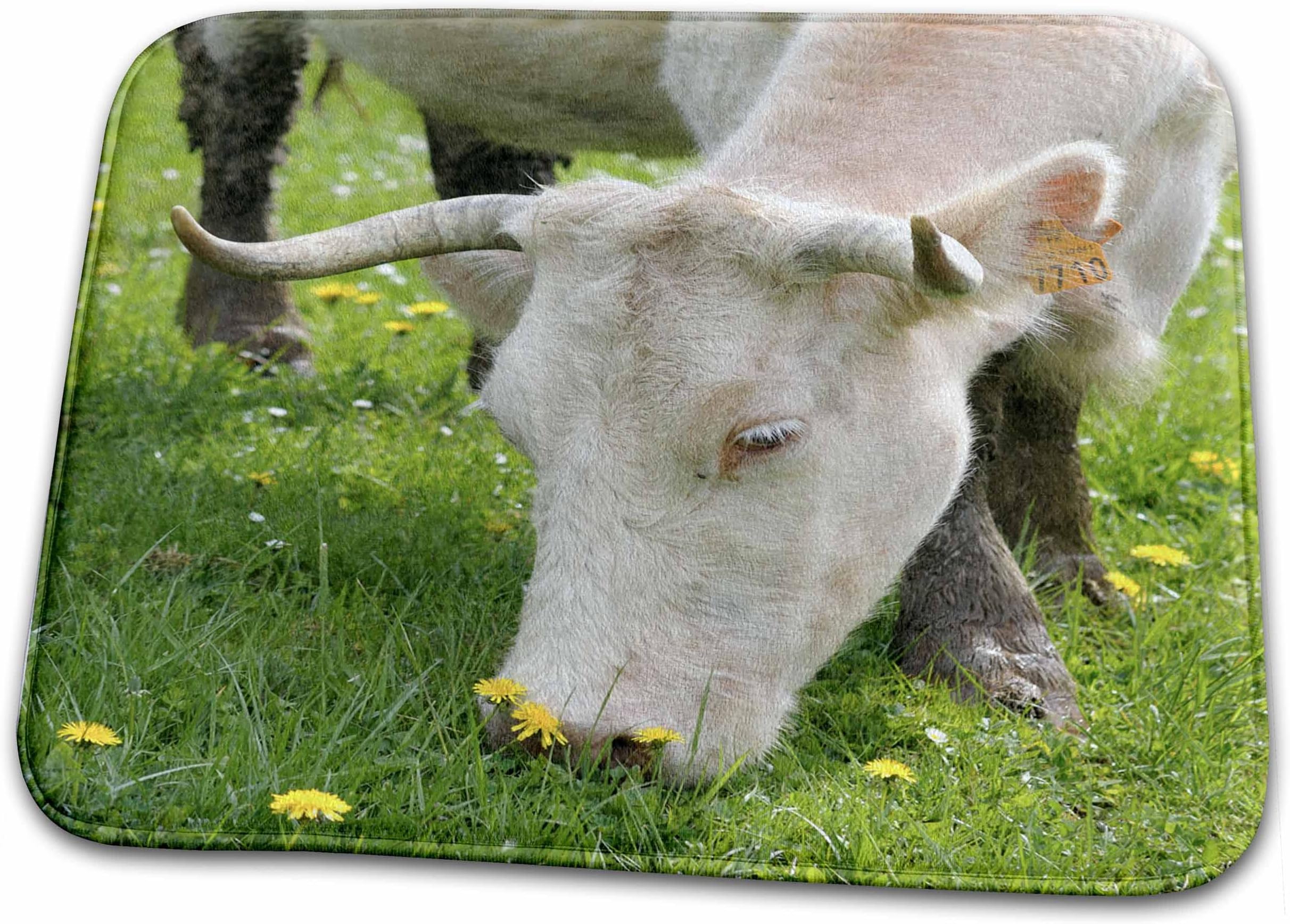 3dRoseFrance, Burgundy, Nievre, Sardy-les-epiry. Cow... - Bathroom Bath Rug Mats (rug-227276-1)