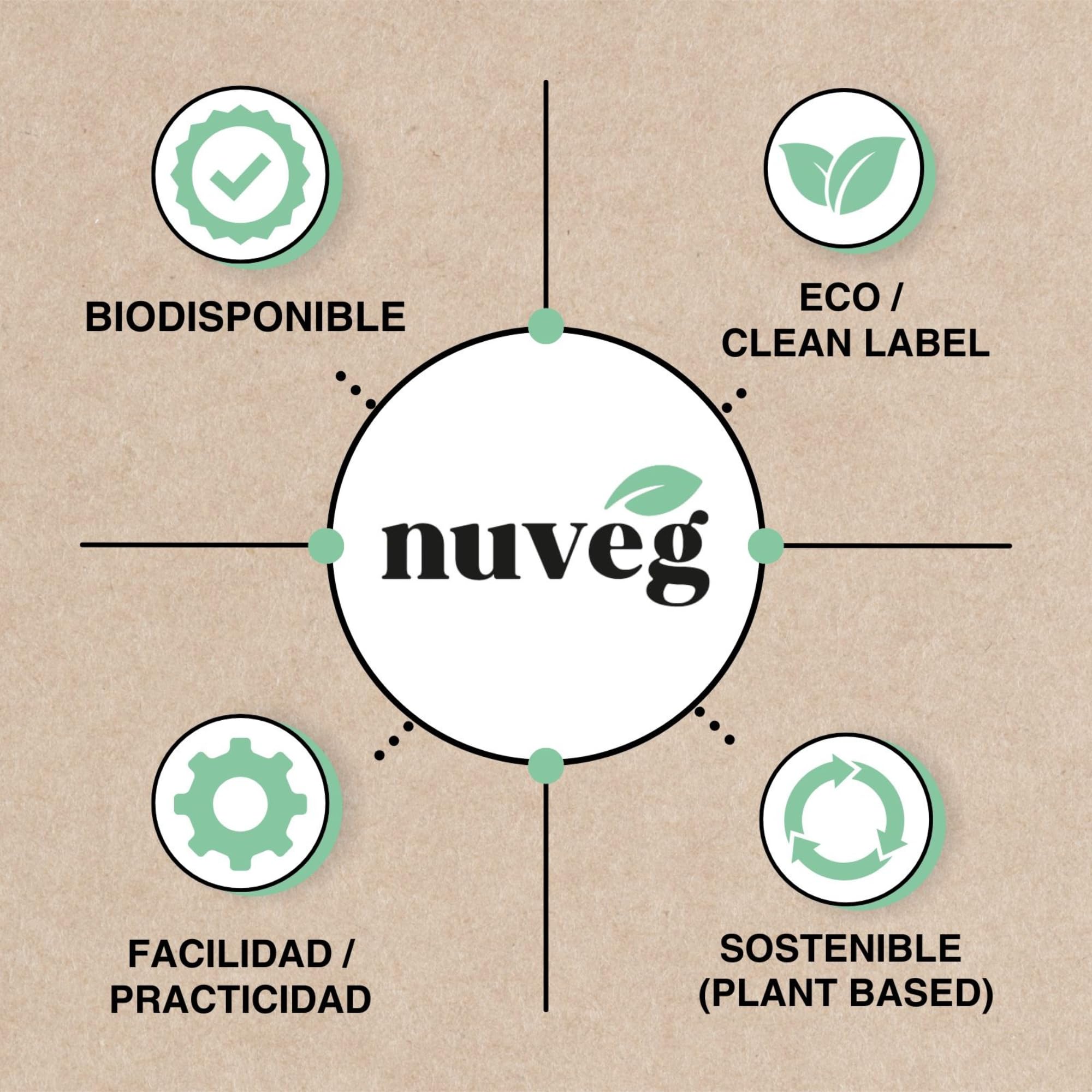 NUVEG Preparado Veggie para Hamburguesa Vegetal, Dieta Vegana y Vegetariana, Alto en Proteínas y Fibra, Sin Gluten y Sin Lactosa, Comida Preparada en Conserva, Fácil y Rápida, Pack 2, 270g