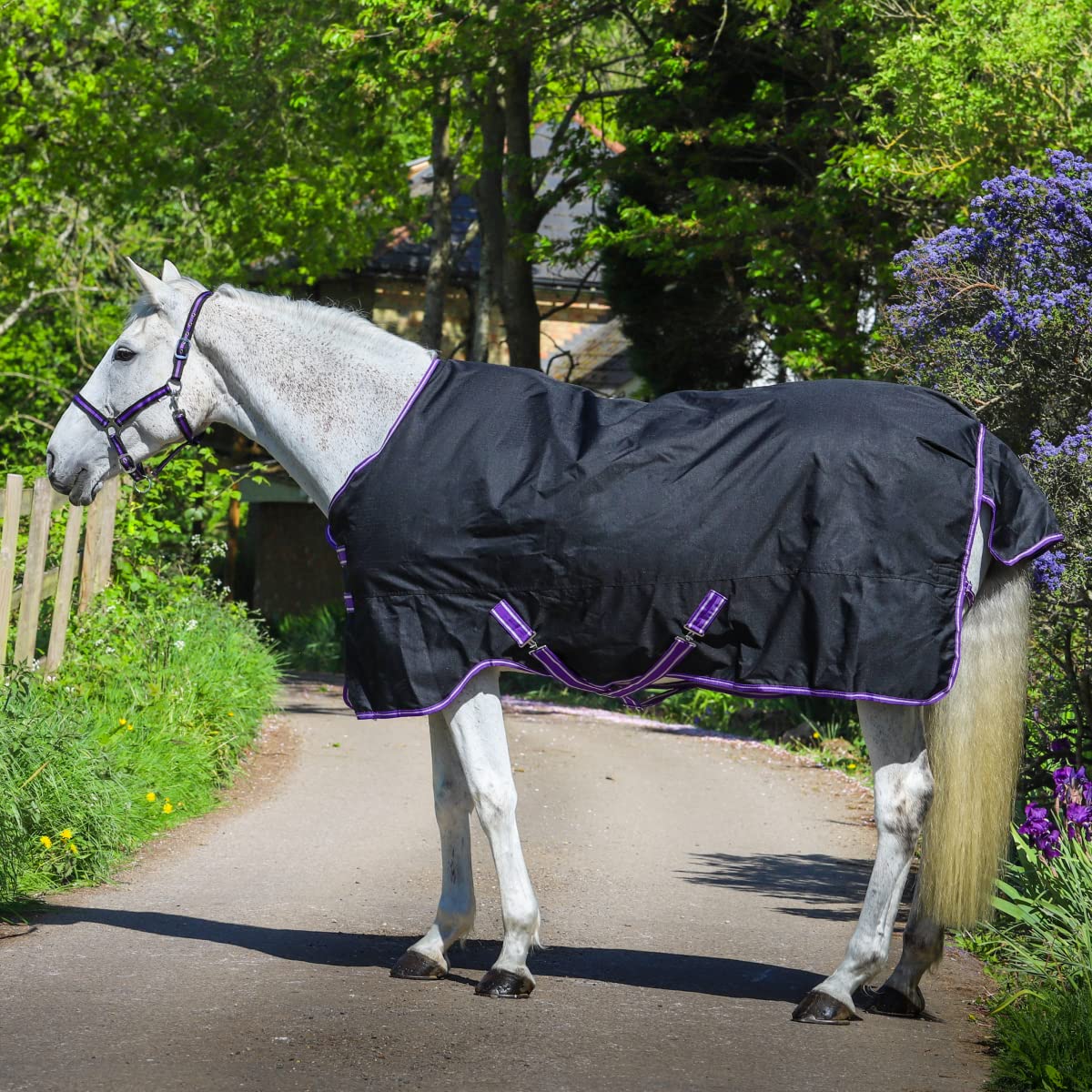 GS Equestrian 600D 100g Fill Standard Neck Waterproof Winter Turnout Rug GSE400 All Life Stages (5'6, Black/Purple)