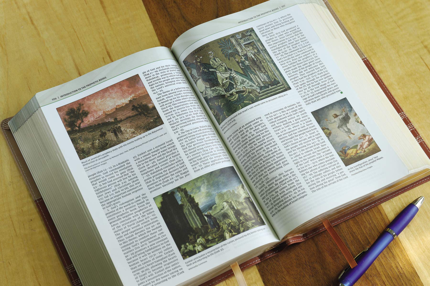 NIV, Biblical Theology Study Bible (Trace the Themes of Scripture), Leathersoft, Tan/Brown, Comfort Print: Follow God’s Redemptive Plan as It Unfolds throughout Scripture