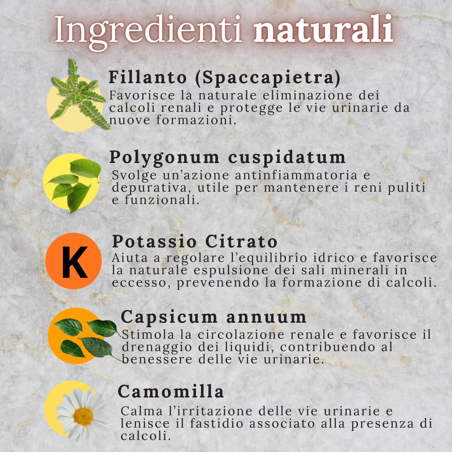 TEKOVIT Spaccapietra - Integratore Naturale con Fillanto Spaccapietra, Resveratrolo, Potassio e Camomilla, Benessere Renale e Vie Urinarie, Formula Completa - Made in Italy (60 Cps) – Wellvit