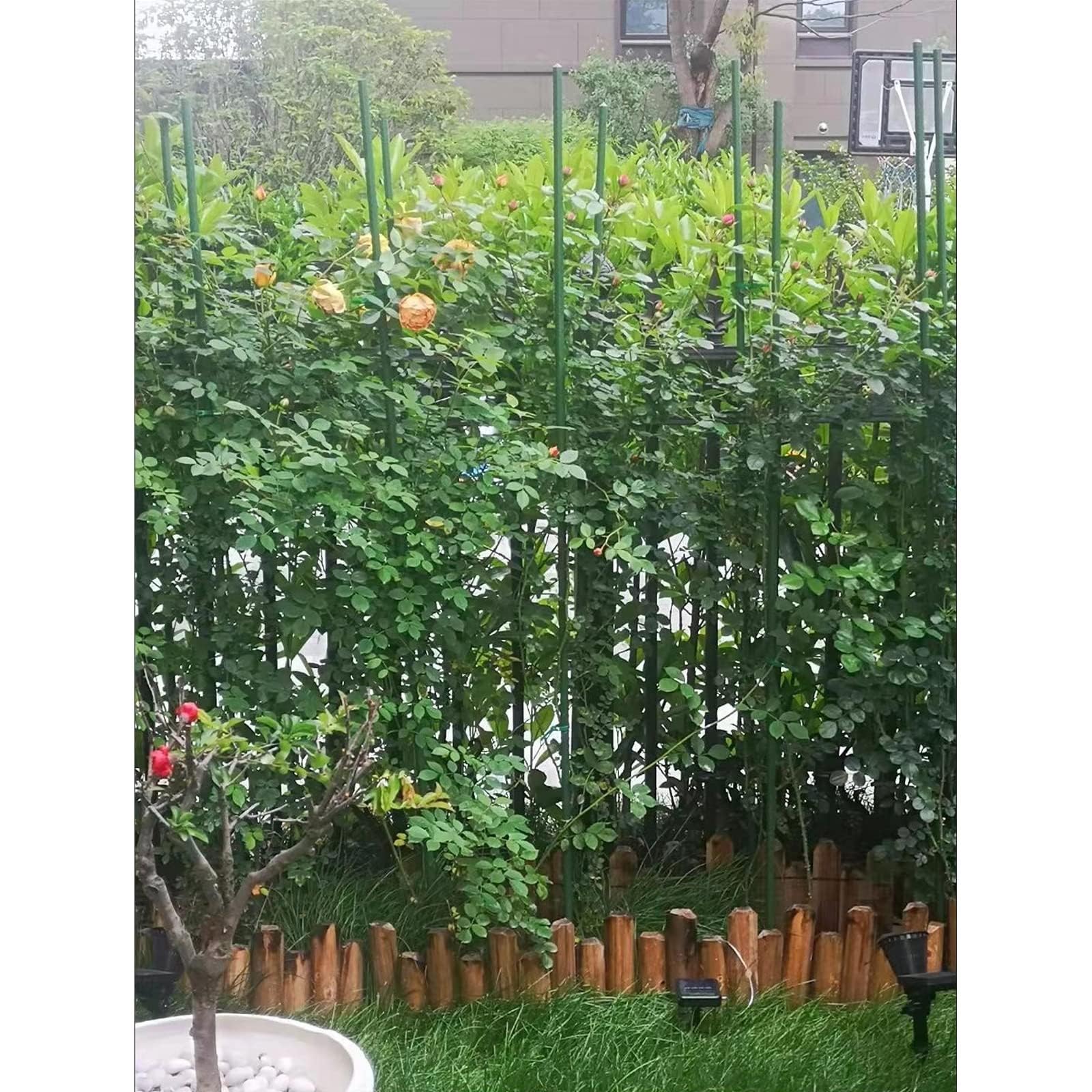 G-LEAF Pflanzenstütze, 25 Stück Pflanzenstab,Blumenstütze Zimmerpflanzen,Pflanzenhalter,rankhilfe zimmerpflanzen Kunststoff,Pflanzen Stabilisieren Stab,Pflanzstab,Blumenhalter (Grün/25PCS)