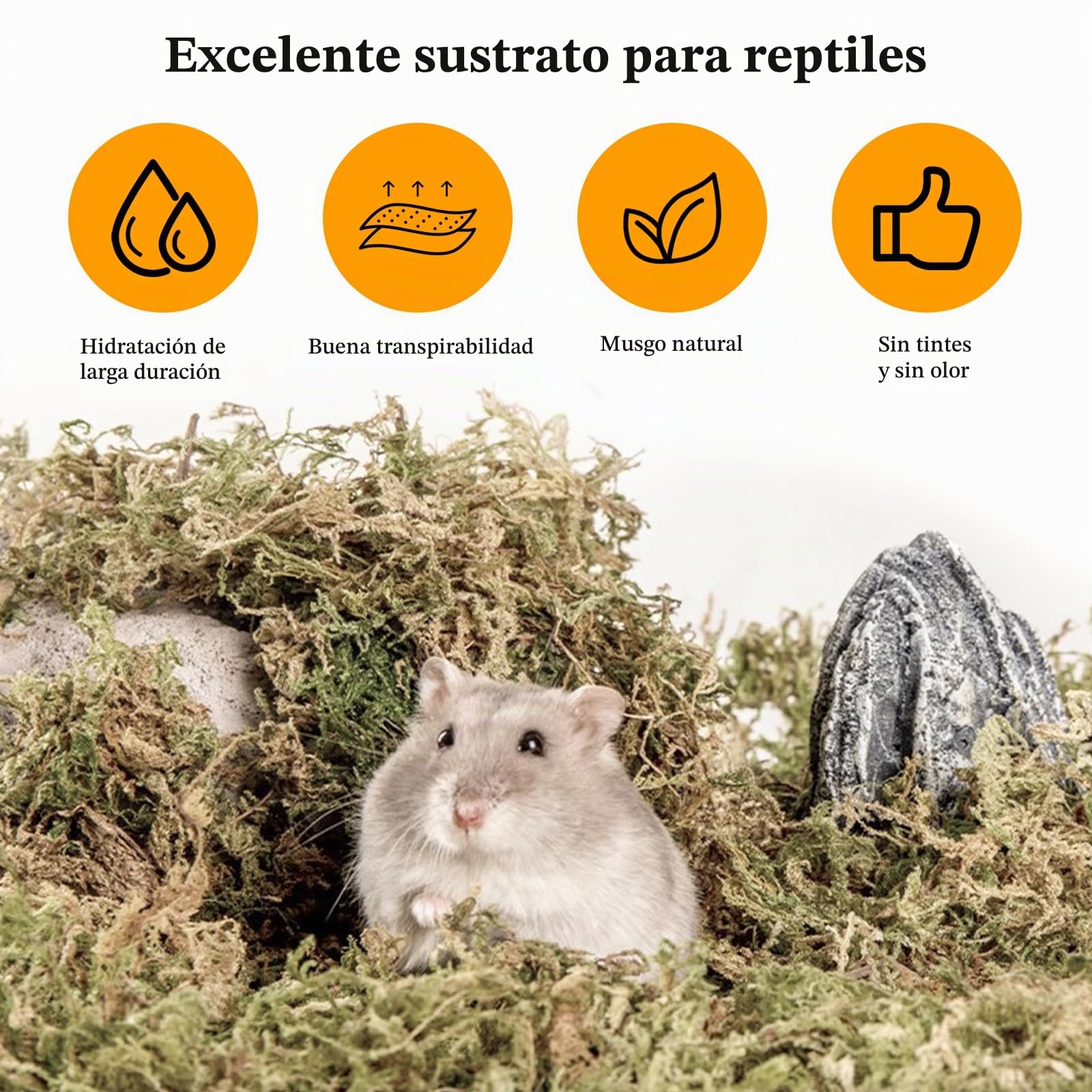 CATELL 190 g de musgo Sphagnum para plantas, terrario, tortuga y plantas de interior