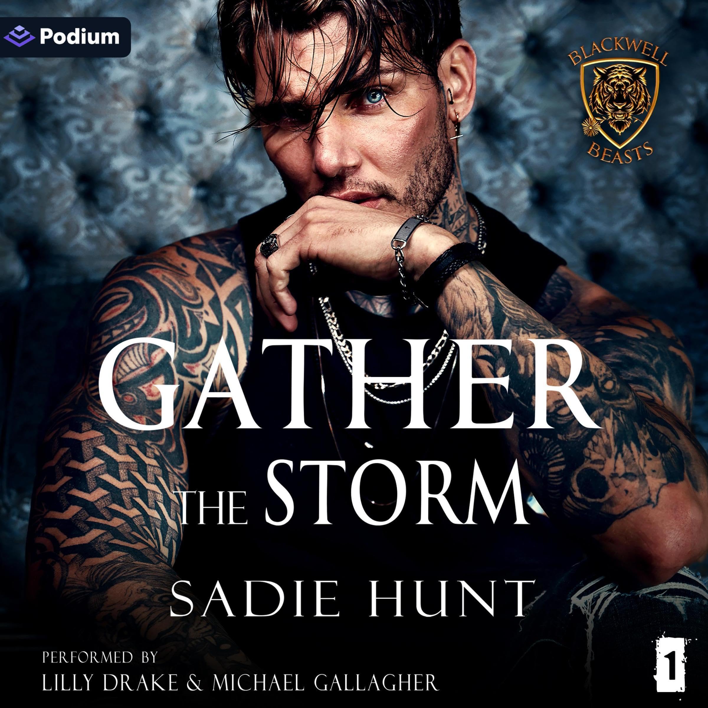 Cover art for Gather the Storm