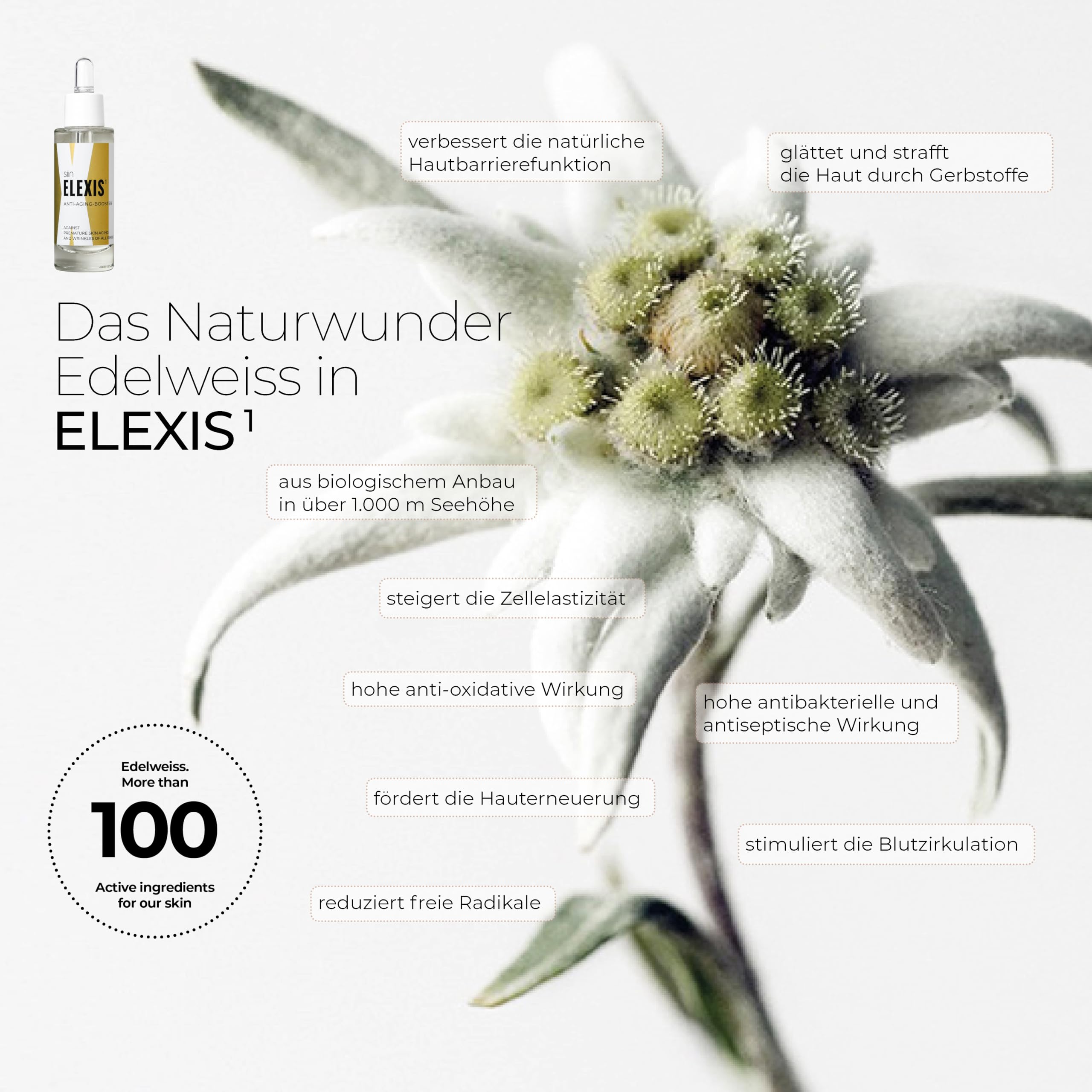 siin ELEXIS Premium ANTI-AGING SERUM - Hochleistungsserum gegen Falten aller Art - Anti-Falten Creme reduziert Faltenvolumen und Faltentiefe - glättet & strafft - Argireline, Edelweiss, Hyaluron
