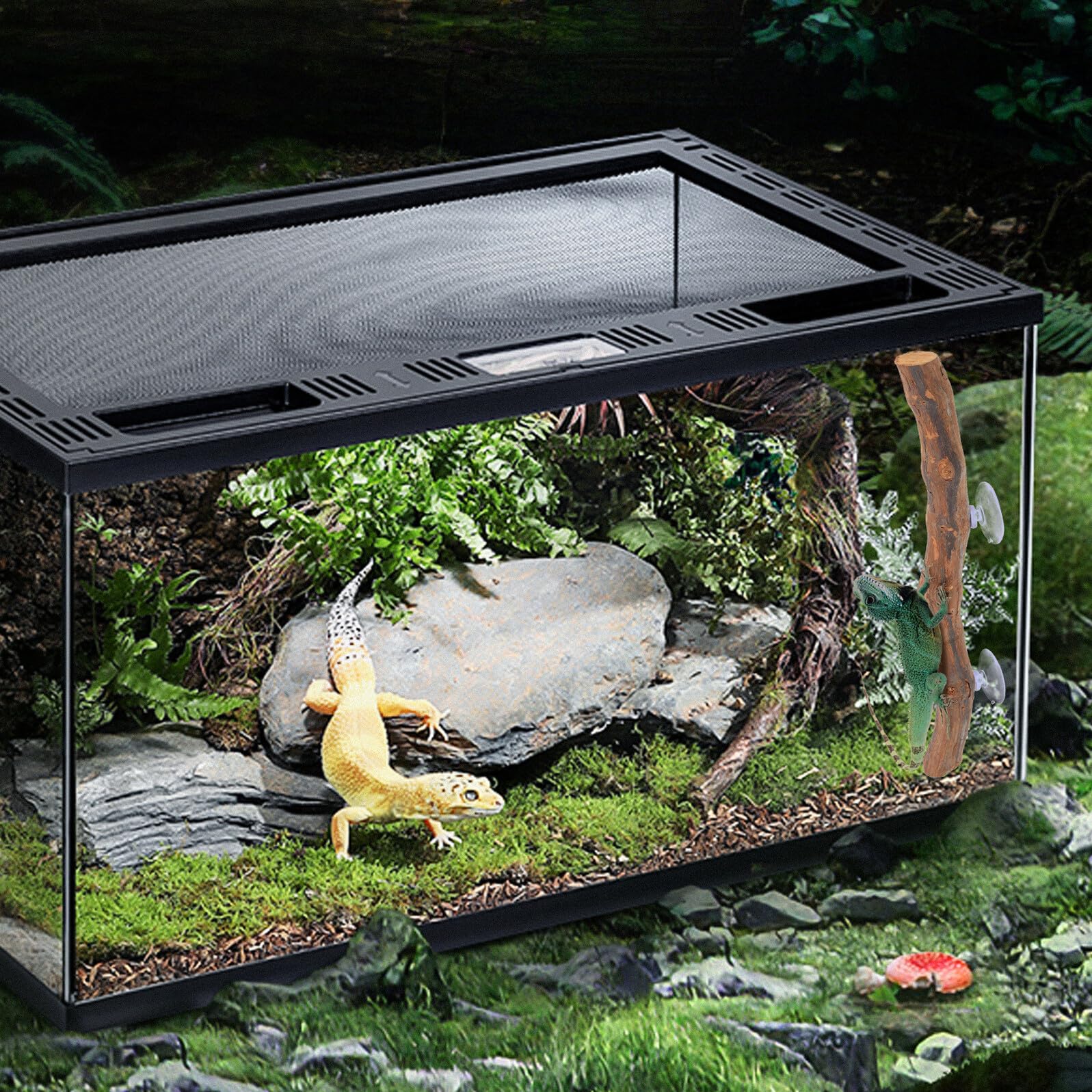 VANZACK Accessori Per Rettili Supporto in Legno Per Lucertole Decorazione Per Terrario Ramo Per Arrampicarsi Giocattolo Per Terrario Arredo Per Gabbia Esercizio Per Rettili Sviluppo