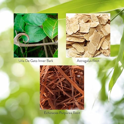 Miniatura 5 de Natures Sunshine UNA de Gato garra de gatos 100 Cápsulas