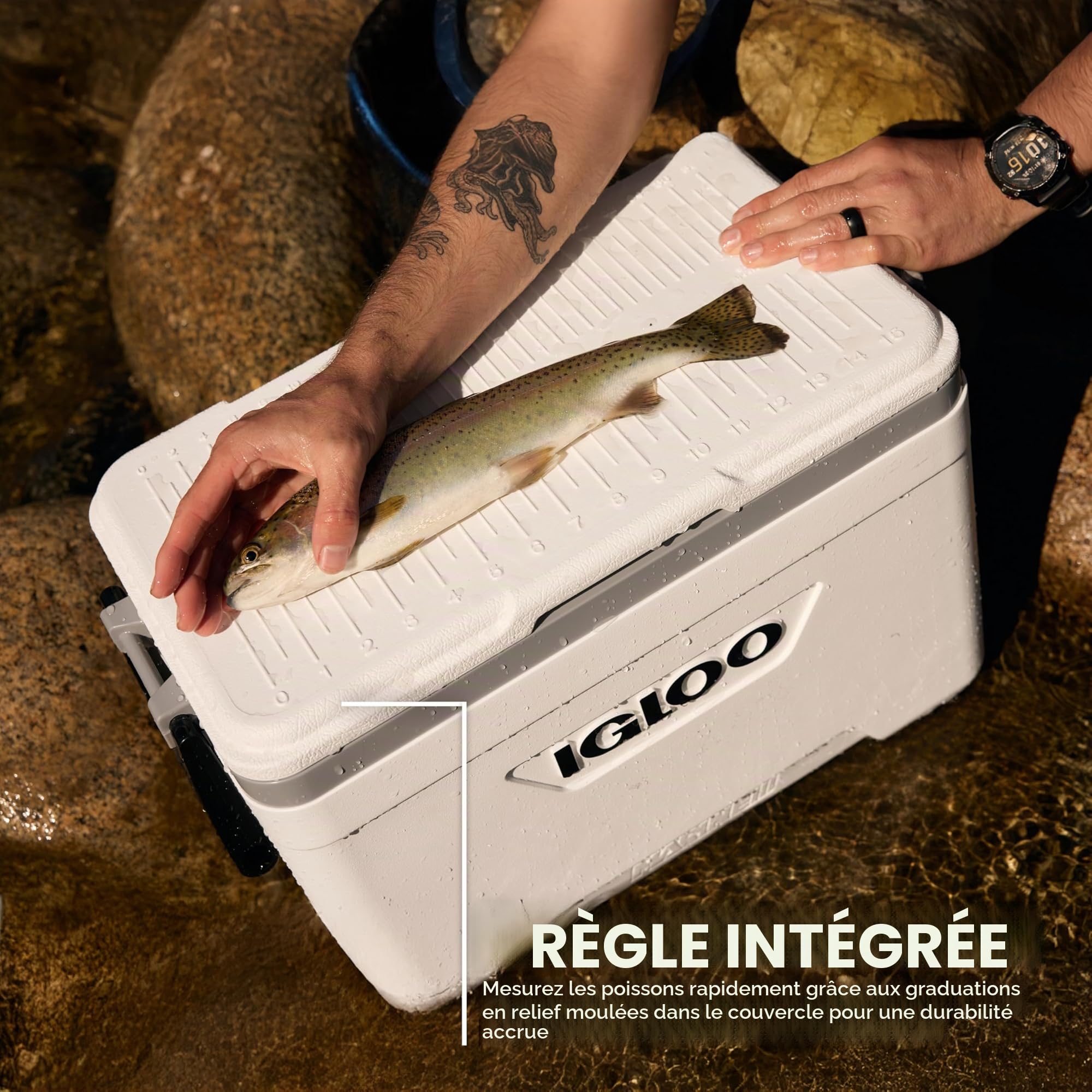 IGLOO Marine Glacière Unisexe