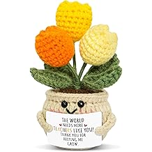 OASSIE Teacher Appreciation Gifts for Women Men - Handmade Positive Tulip Crochet Flowers - Teachers Day Graduation Birthday Thank You Appreciation School Retirement Gifts for Teachers from Student