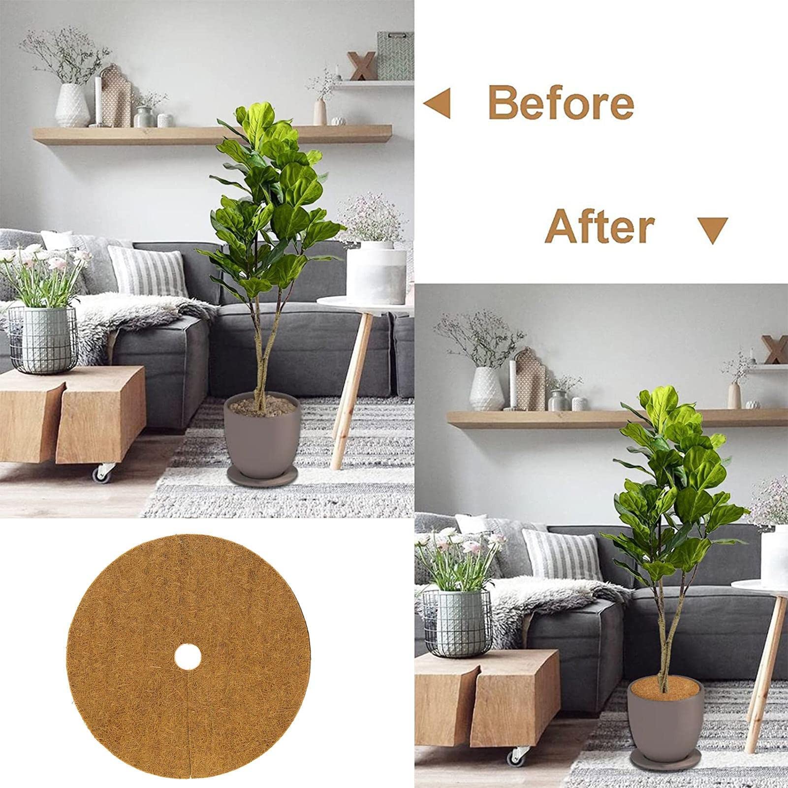 Lot de 10 tapis de paillage en fibre de coco de 20/30/40/50 cm de diamètre en forme d'anneau pour plantes et arbres en pot d'intérieur et d'extérieur.