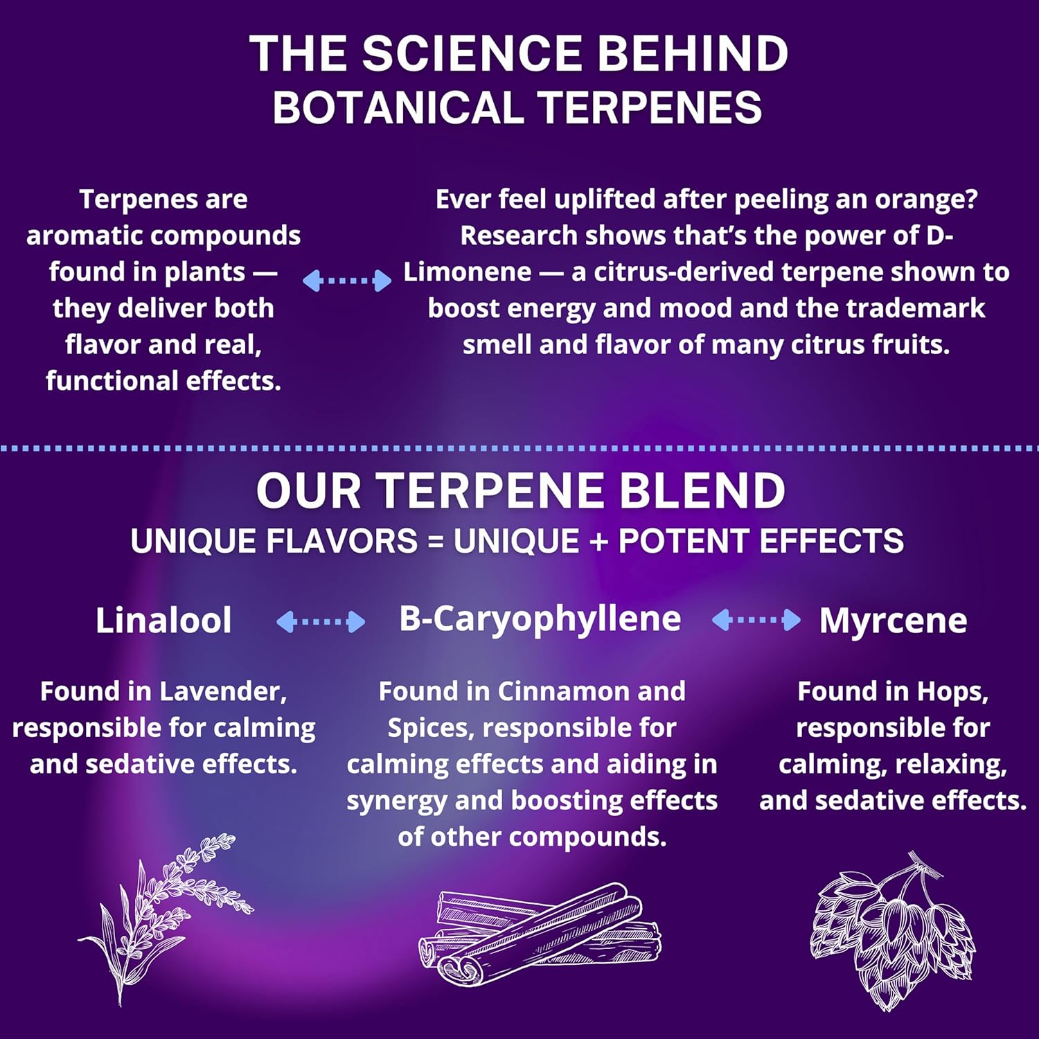 Powerful Sleep Support – Valerian Root, Ashwagandha, Melatonin & Botanical Terpenes – Fast-Acting Soft Chewable Tablets – Botanical Berry Flavor – 30ct - Image 4