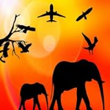 Puzzle game Grumos