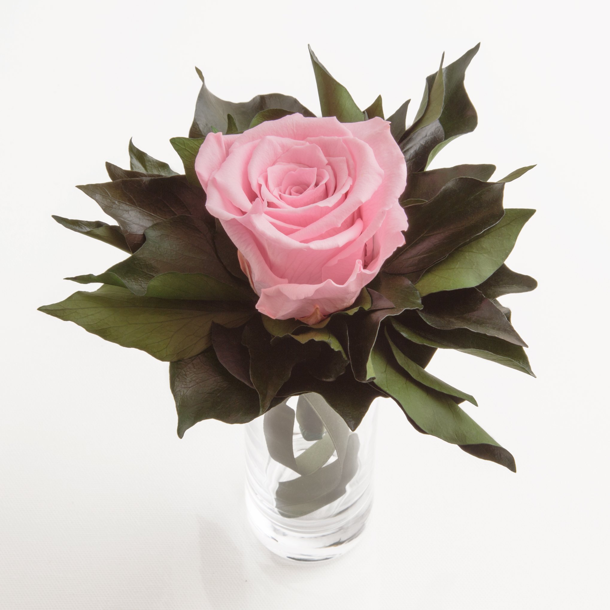 Blumenstrauß langhaltend Ewige Rose konserviert mit Glasvase haltbar 3 Jahre von ROSEMARIE SCHULZ GmbH Heidelberg (Rosa)
