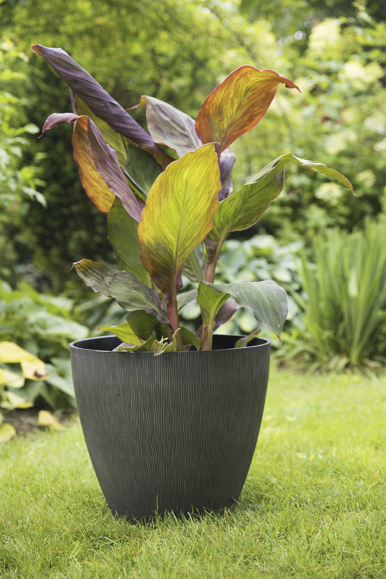 COATY witte XL plantenbak bloempot HQ design voor buiten 90cm breed COATY witte XL plantenbak bloempot HQ design voor buiten 90cm breed