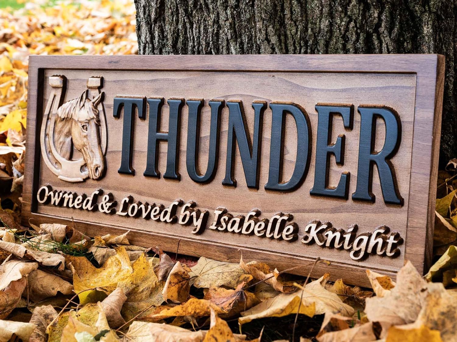 Horse Stall Ranch Sign Horse Barn Decor Rustic Wood Sign Personalized Couples Gift Custom Wooden Sign Horse Name Sign Horse Stable Sign