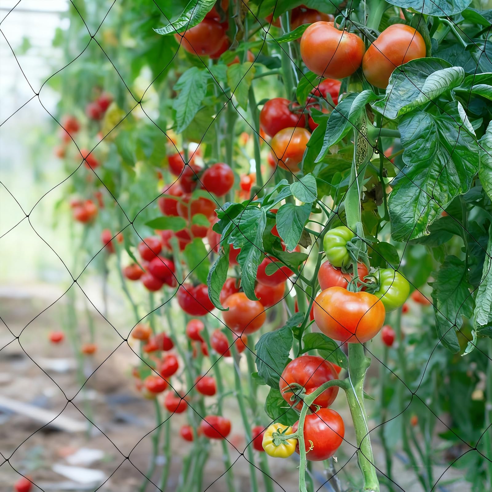 Filet Anti Oiseaux 30x15m 5cm Jardin Protection Arbres Potager
