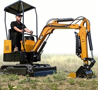 MMS MS10H 1 Ton Mini Excavator with Rato EPA Gas Engine and 4K Travel Motor, Compact Crawler Machine for Digging, Trenching, Courtyard Renovation and Planting Work