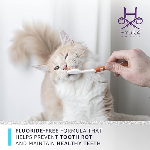 Miniatura 6 de Hydra - Pasta dental profesional, sin flúor, ambientador de aliento para perros y gatos, adecuado para todas las razas, 5 onzas