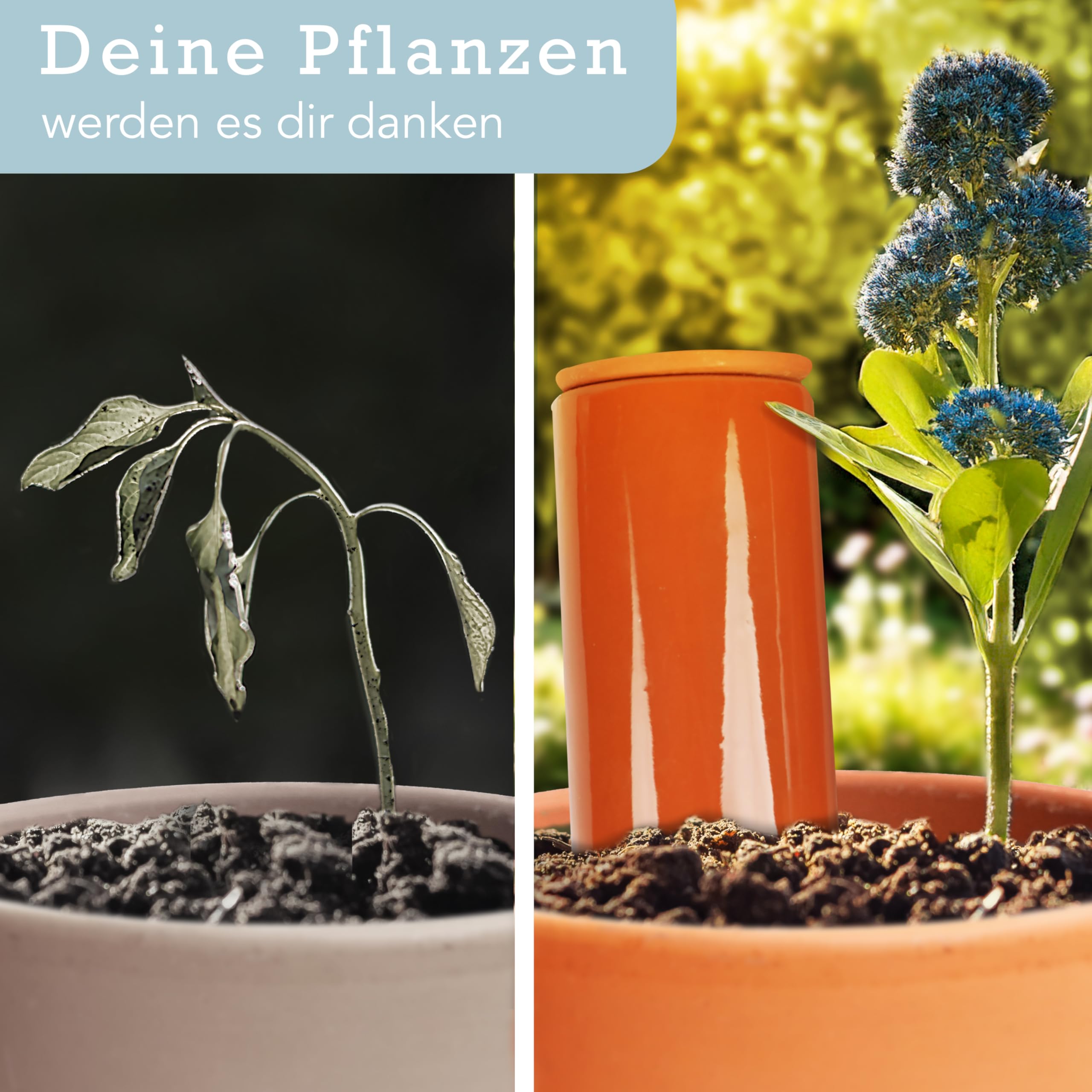 Terracotta Gießhilfe (3X 330 ml) handgefertigt für Bewässerung Zimmerpflanzen | Wasserstandsanzeiger Pflanzen | Watering can | Gießkanne Zimmerpflanzen