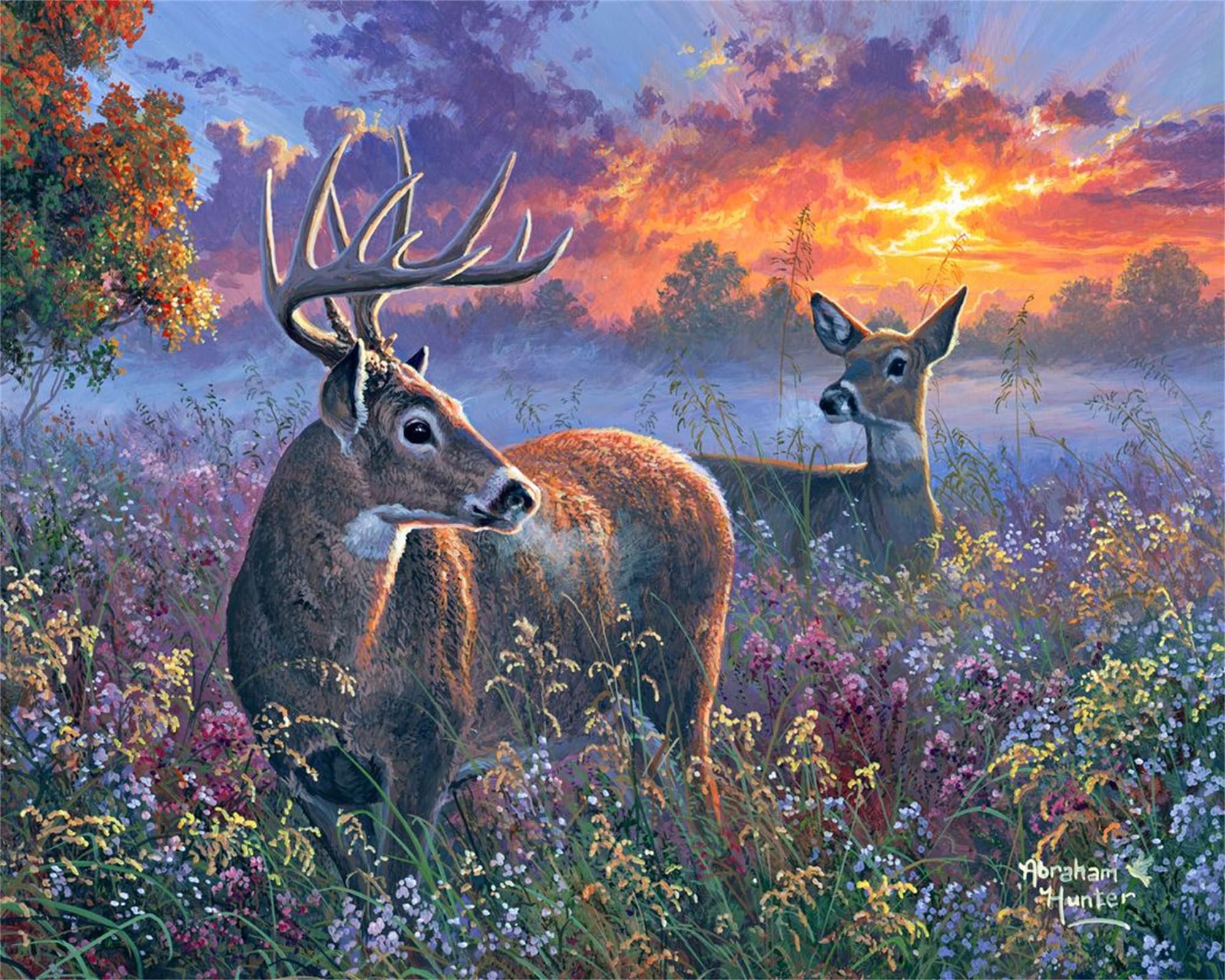 Xiangxujia DIY Paint by Number for Adults,Painting by Number Kits on Canvas,Color by Numbers for Adult Beginner,Gifts Decor for Home Wall Room (Deer)