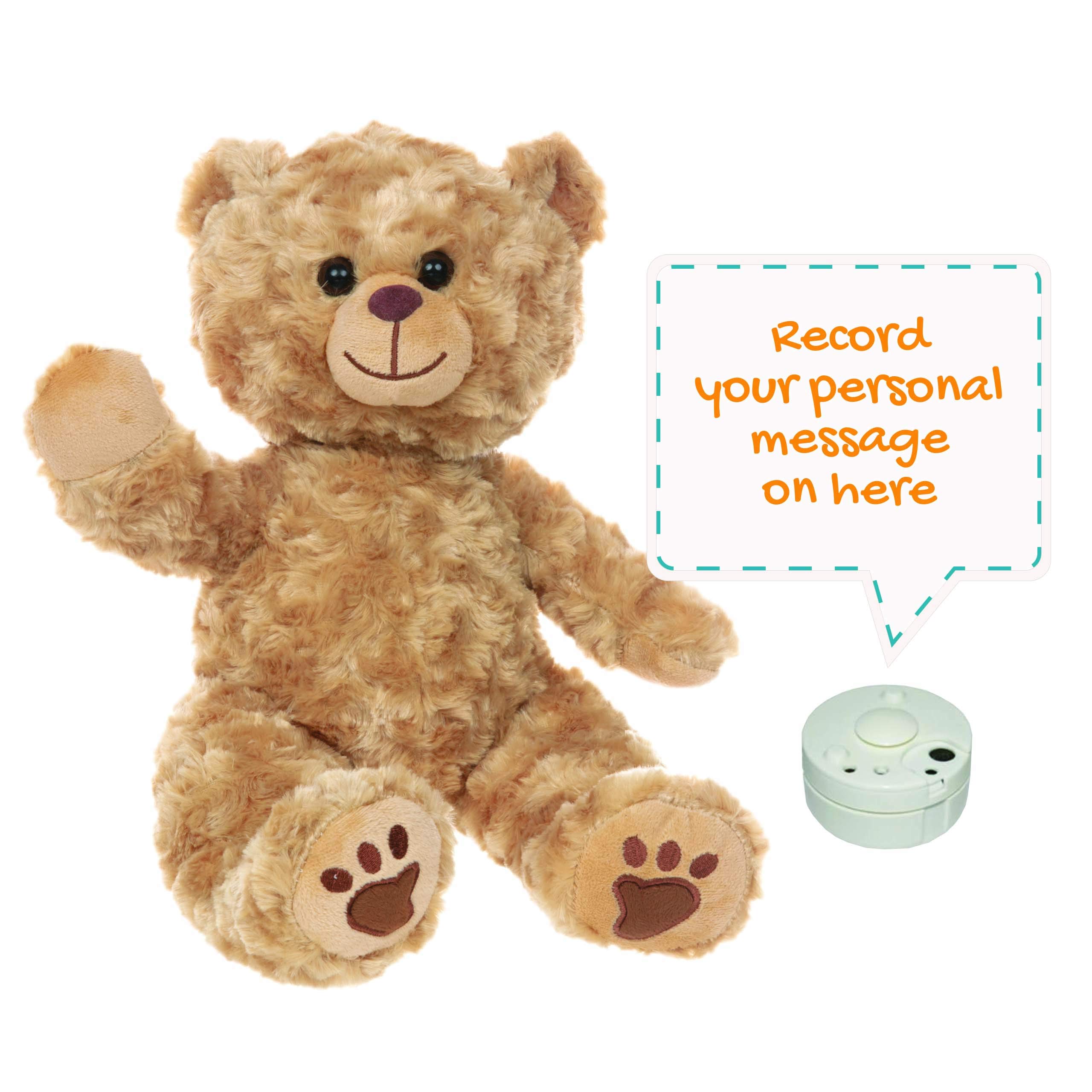 recordable teddy
