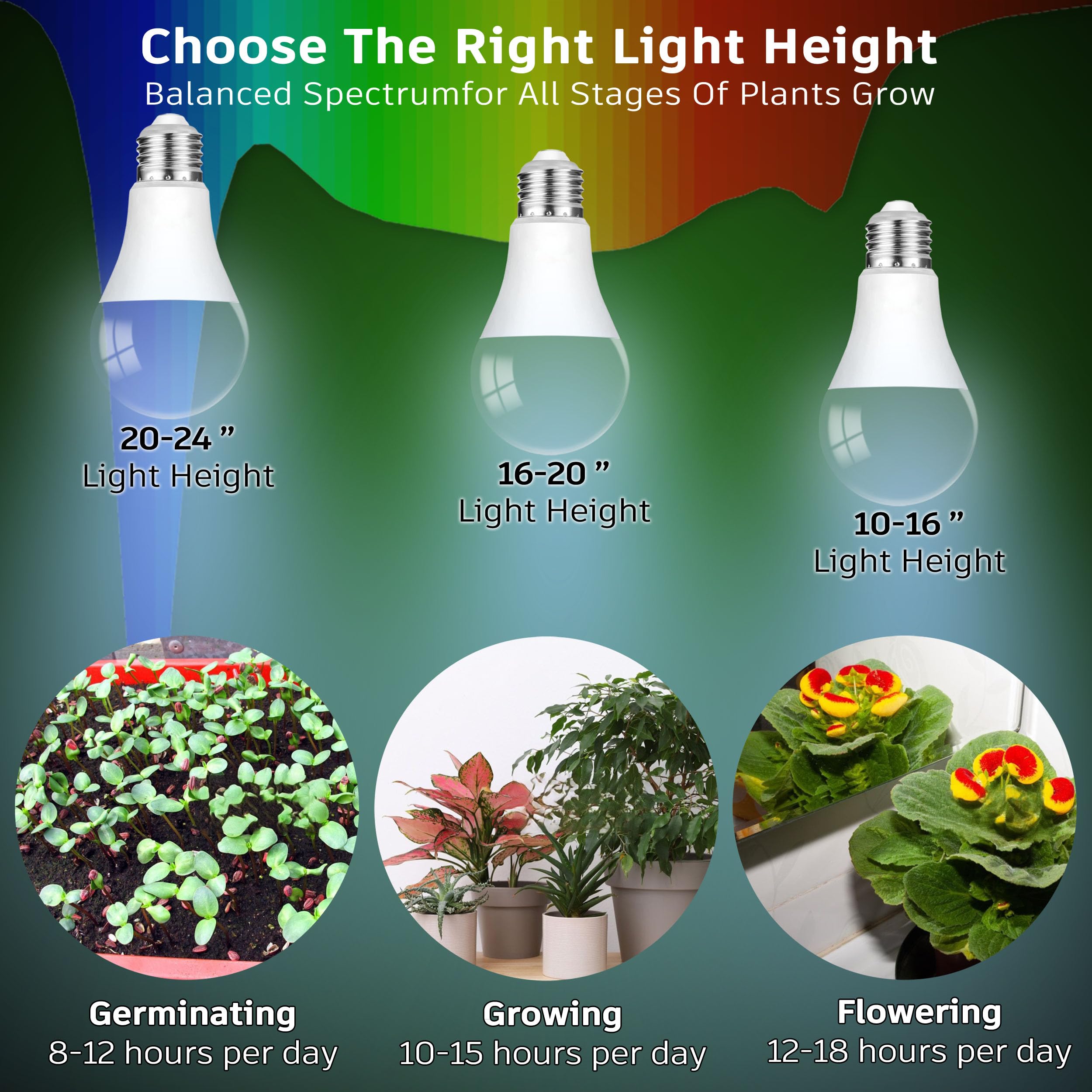 Amazon.com: E26 A19 LED Plant Grow Light Bulbs Indoor Plants Full  Spectrum,LED Sun Light Bulbs Plant Growing 100W Equivalent with Balanced  Spectrum 5000K Red Blue Yellow for Seeds Greens Flower Fruit Garden,6Pack :