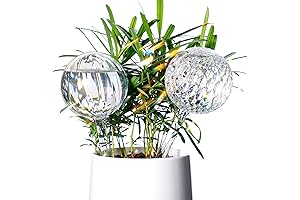 Self Watering Globes for Indoor Plants