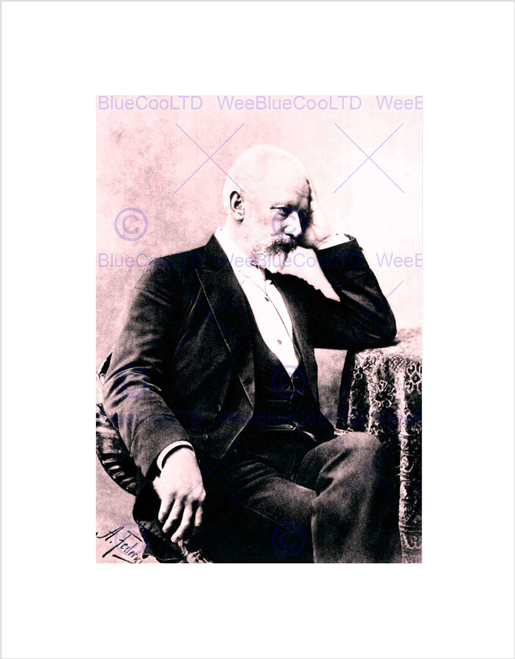 Wee Blue Coo VINTAGE PORTRAIT FEDECKI COMPOSER PETER TCHAIKOVSKY FRAMED ART PRINT B12X4018