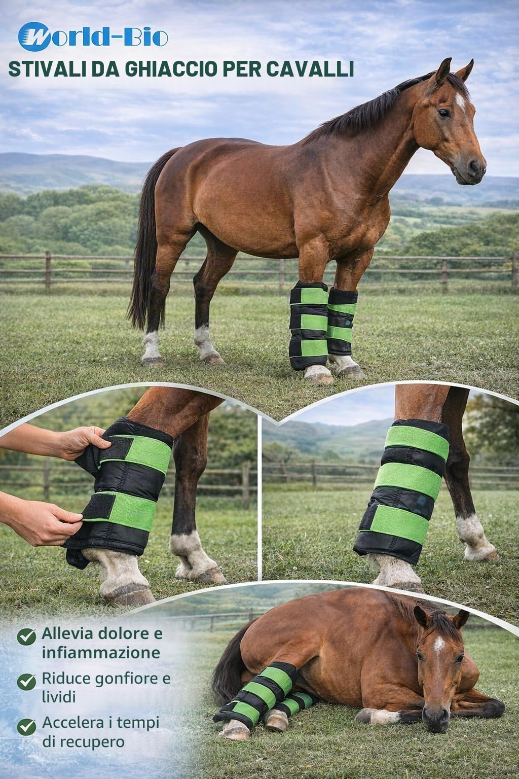 WORLD-BIO Set di 2 stivali termici per cavalli / Impacco termico per cavalli per lesioni, terapia Stivale termico completo per gambe con cinghie flessibili per garretto,gambe e zoccoli, Verde
