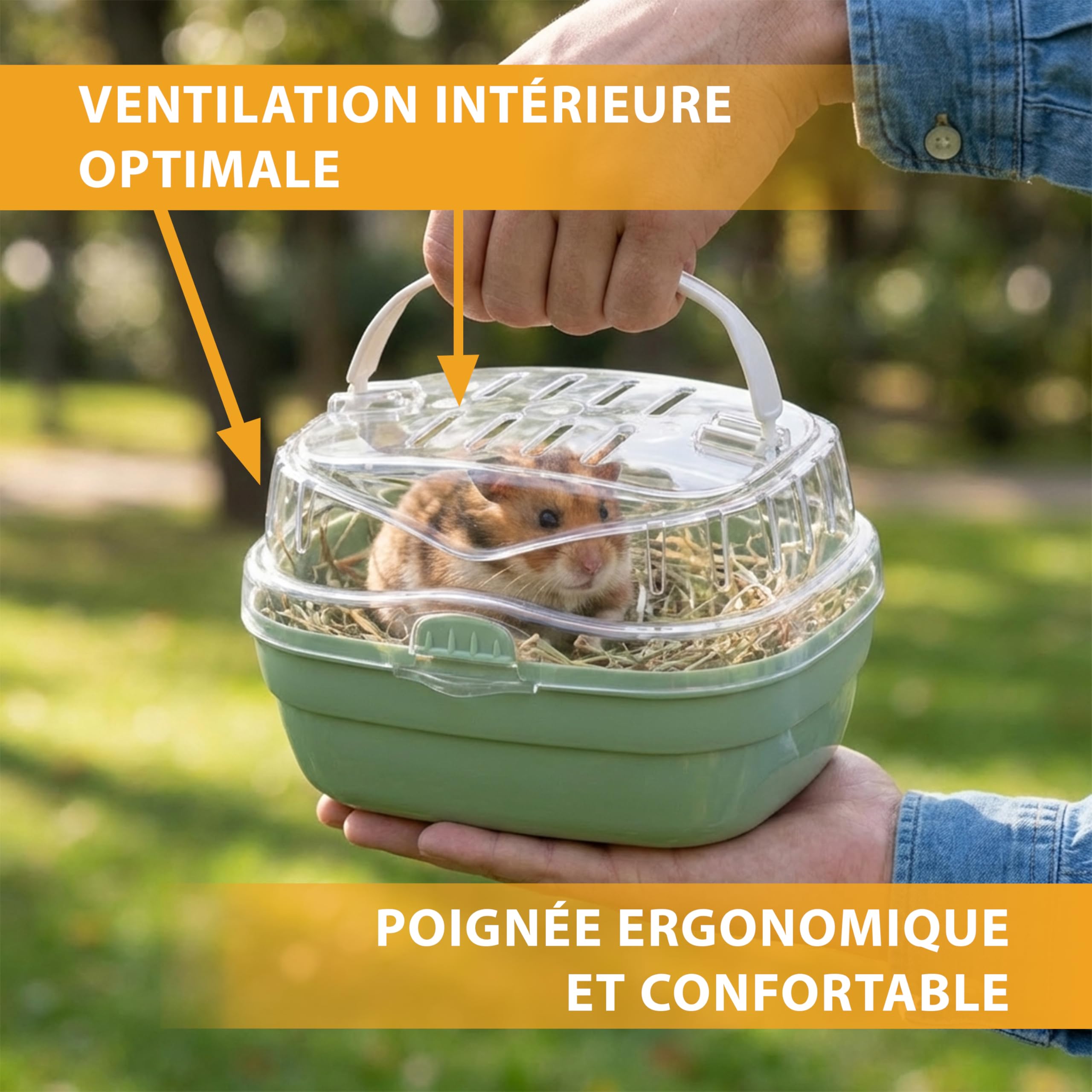 Ferplast Transport pour Hamsters et Autres Petits rongeurs ALADINO Small Cage de Transport pour Petits Animaux, rongeurs, Hamsters, 20 x 16 x h 13,5 cm, Vert