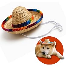 Pet Custom Dog Custom Cat Custom Hoodie, Sporty Look, Funny Gift, Halloween Holiday Sombrero Hat, One Size