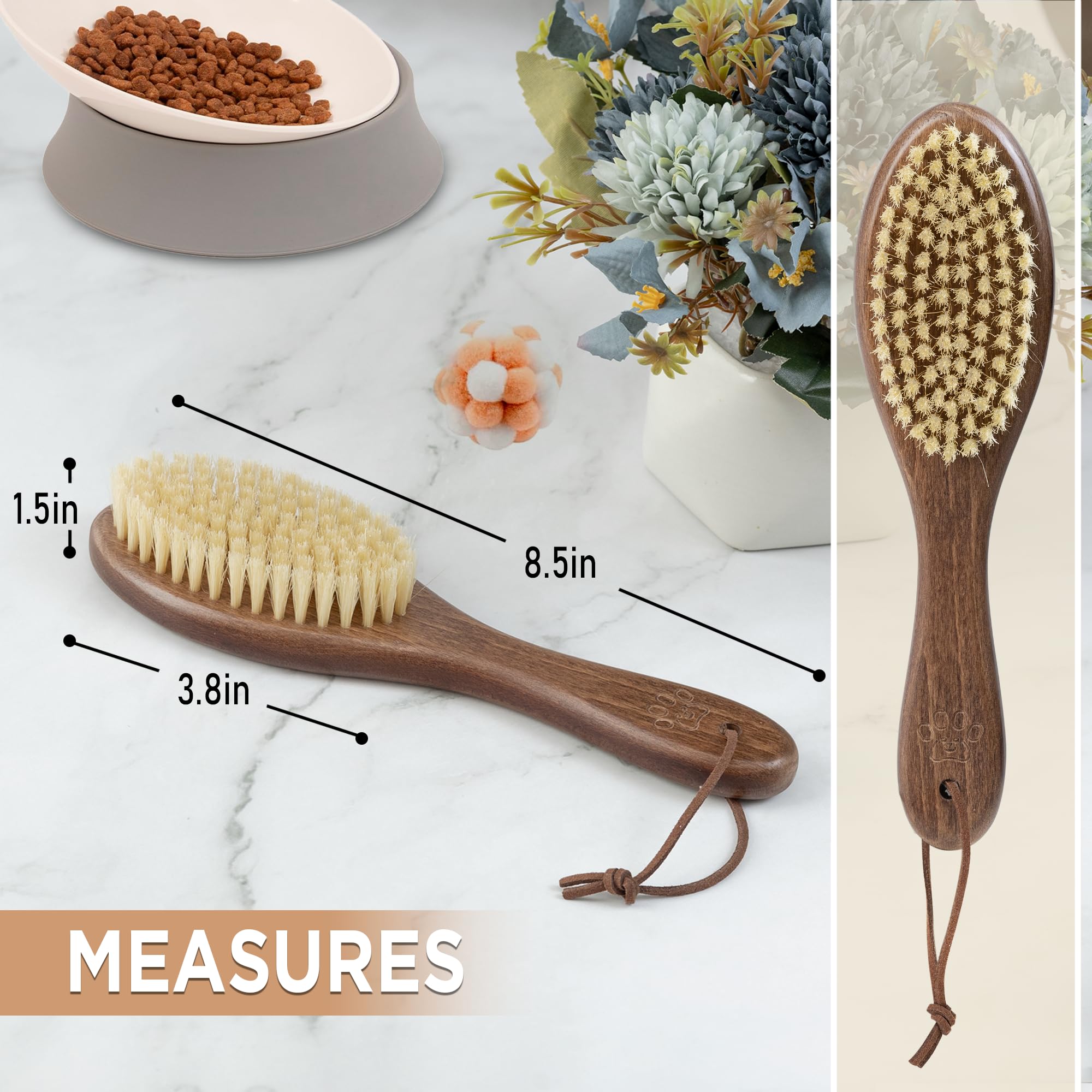 Takavu Spazzola per gatti per spargimento, spazzola delicata con setole di cinghiale bianche naturali e manico in legno per pelli sensibili, accessori per la pulizia degli animali domestici per