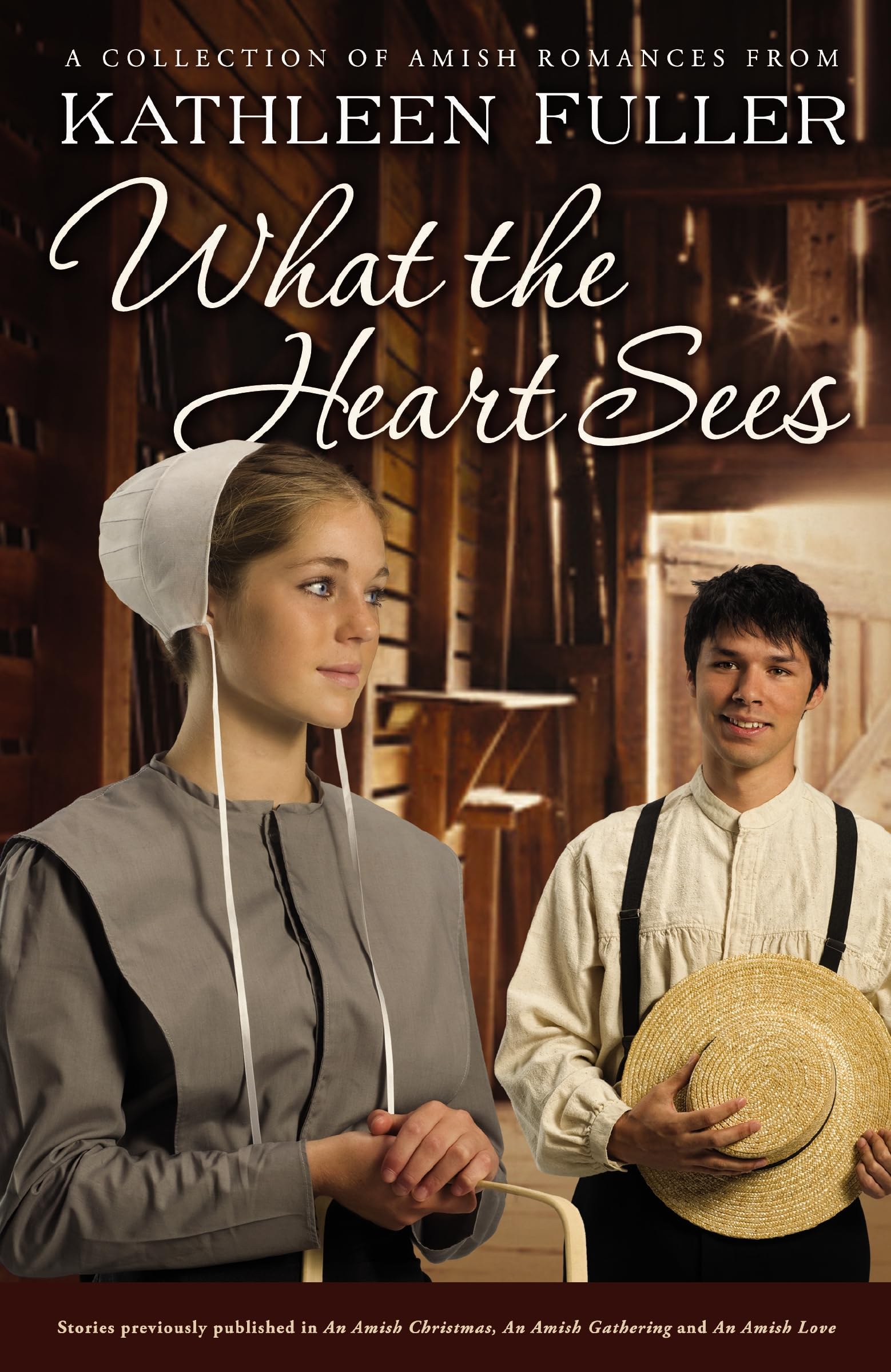 What the Heart Sees: A Collection of Amish Romances (A Mercy Falls Novel)