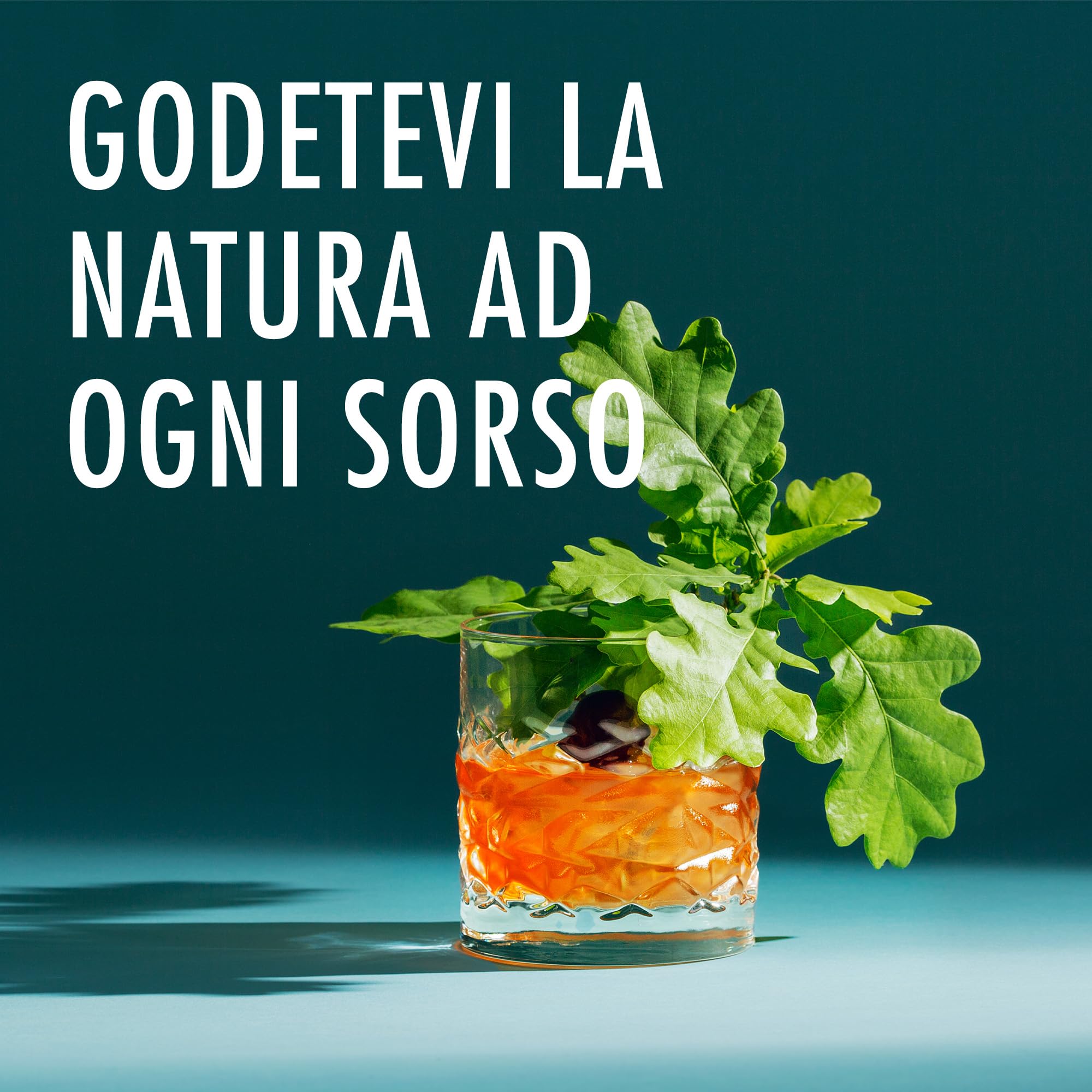 Do your Gin - Set per whisky fai da te “Do your Whisky”, per la casa o come idea regalo, 12 tipi di legno & botanical in contenitori di vetro, 6 pietre per whisky