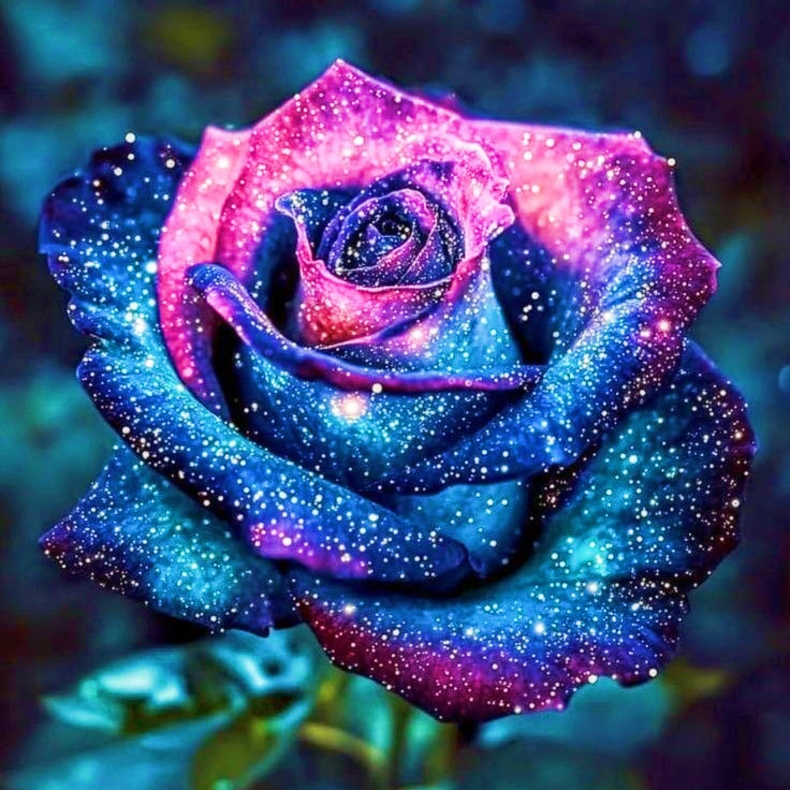 Bloom Year After Year Rose Plant Rose Bulbs Rich in Color Hardy Perennial/Plant Bulbs/Wedding Flowers-3bulbs-c