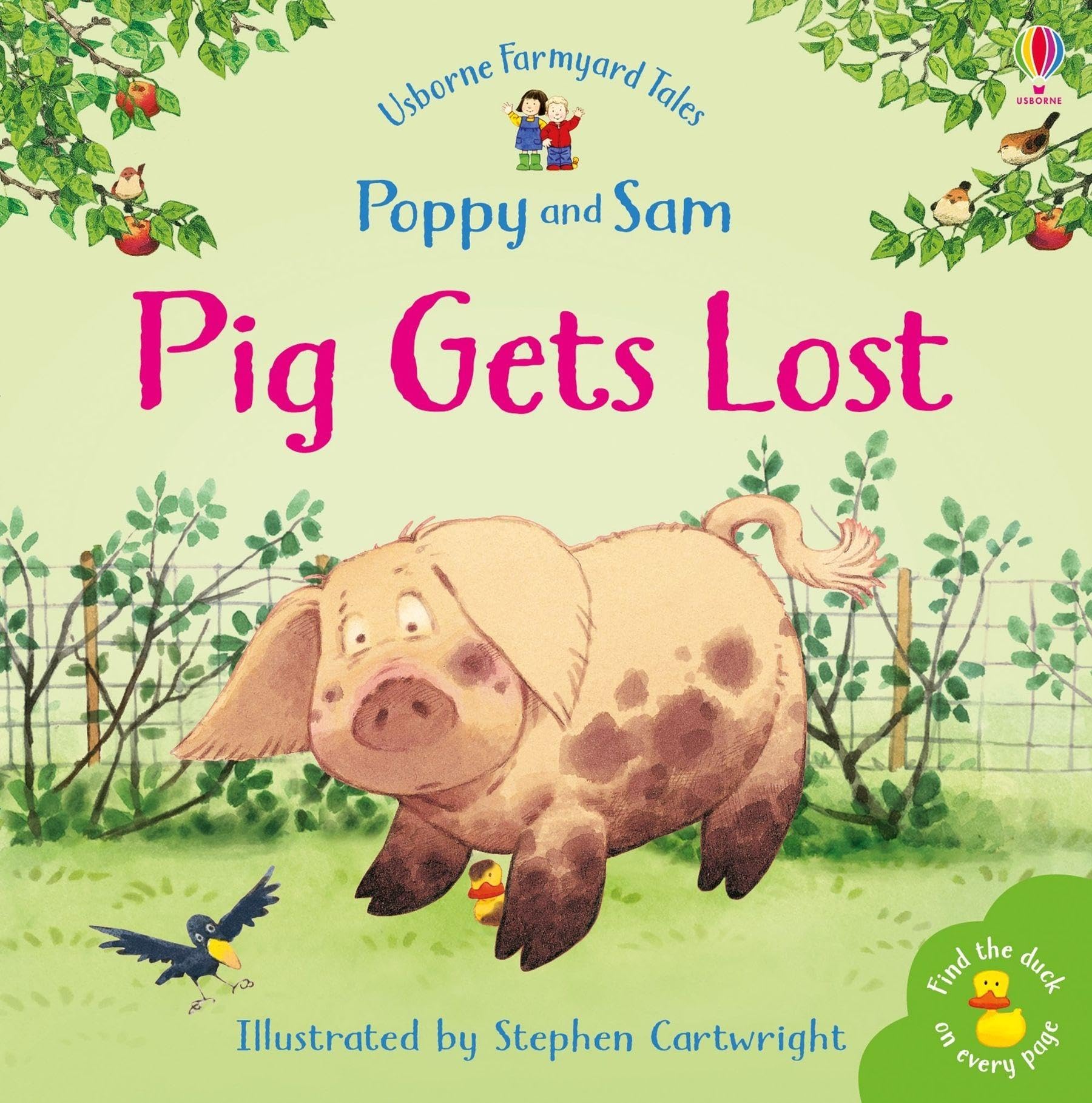 FYT MINI PIG GETS LOST (Farmyard Tales)