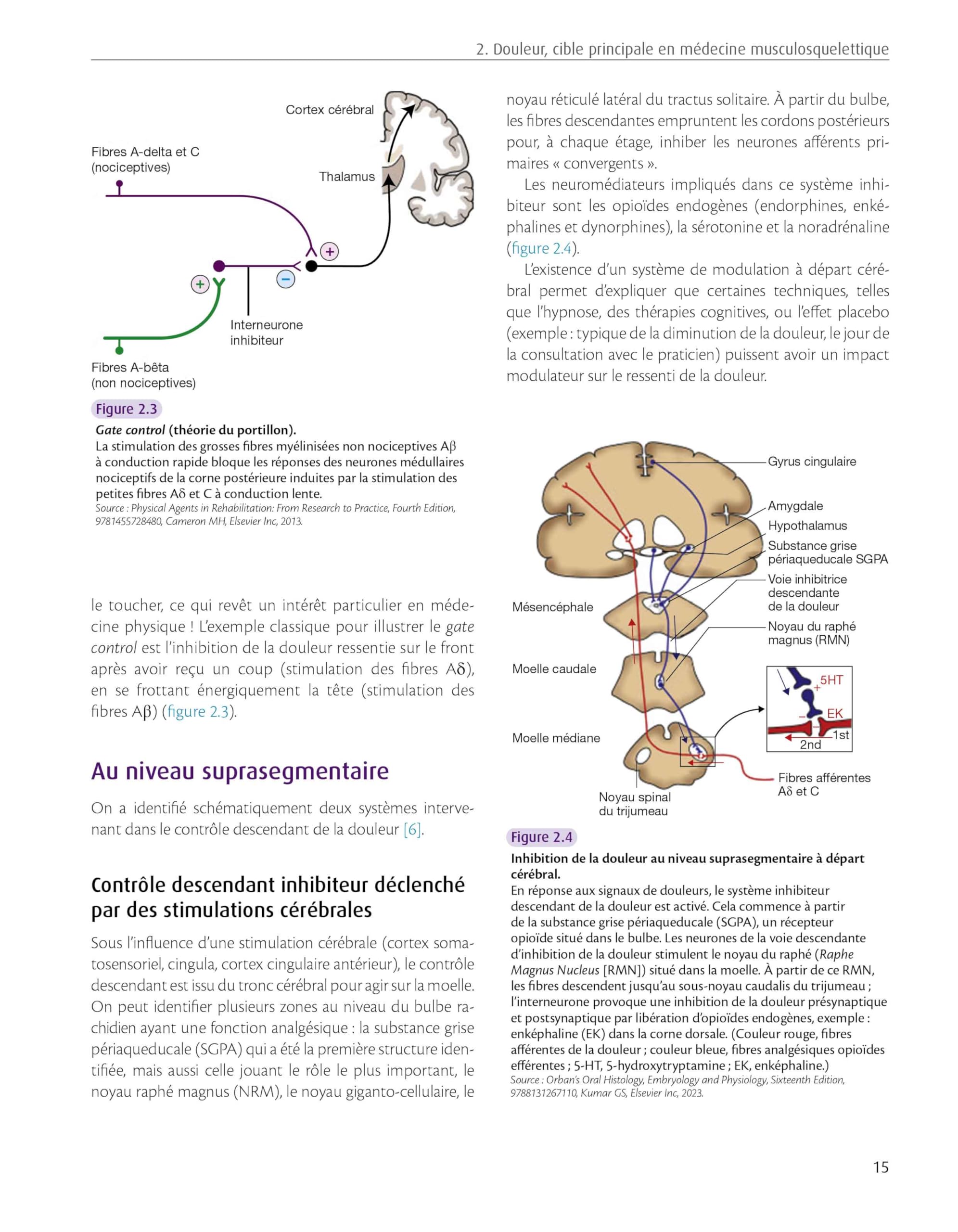 TMS du rachis lombaire: Troubles Musculo-Squelettiques - Thérapeutiques Manuelles Scientifiques