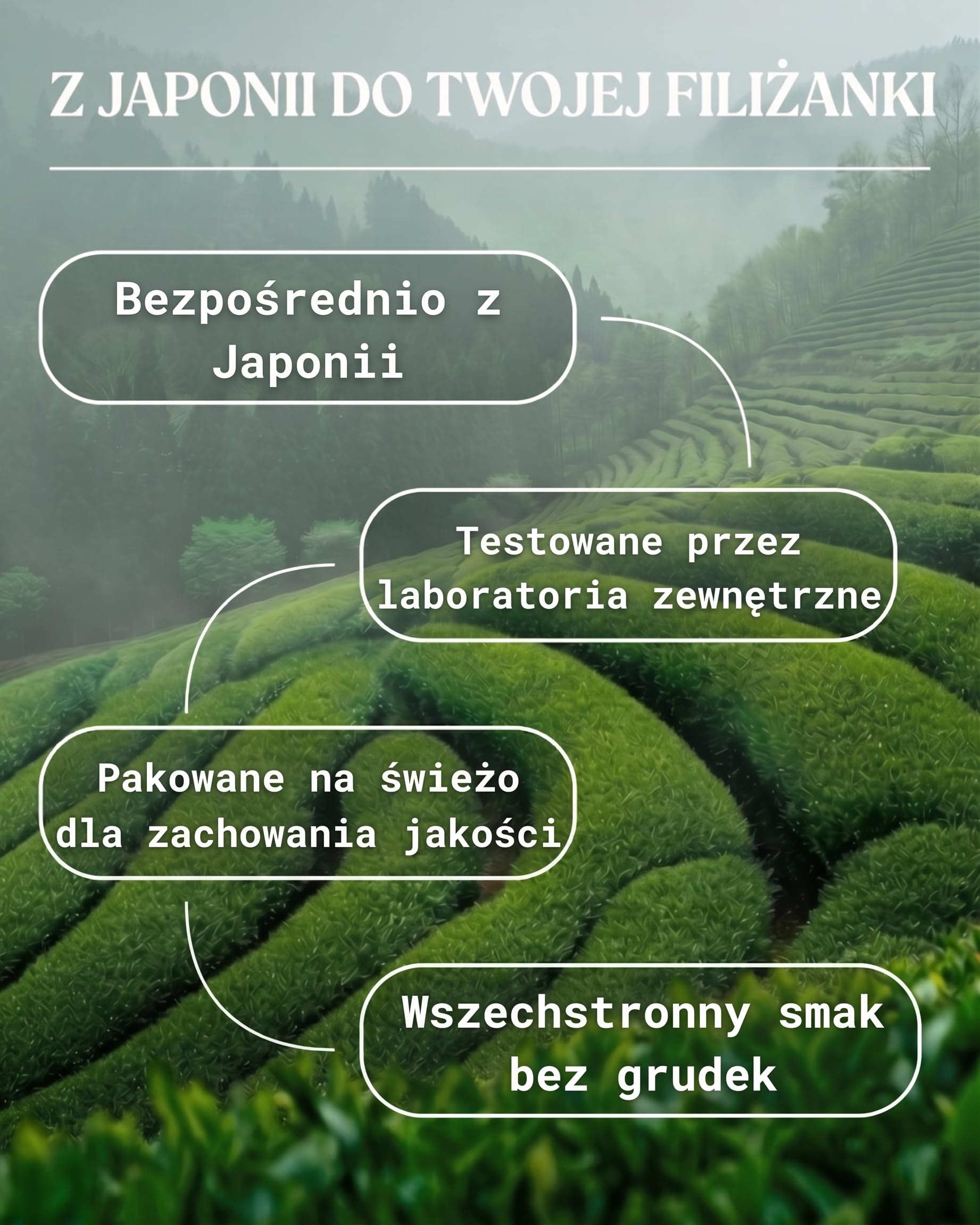 NaturaleBio Bio Japońska Premium Matcha w Proszku z L-Teaniną | 1 kg. Matcha premium z pierwszego i drugiego zbioru, z antyoksydantami, do matcha latte, smoothie i iced matcha.