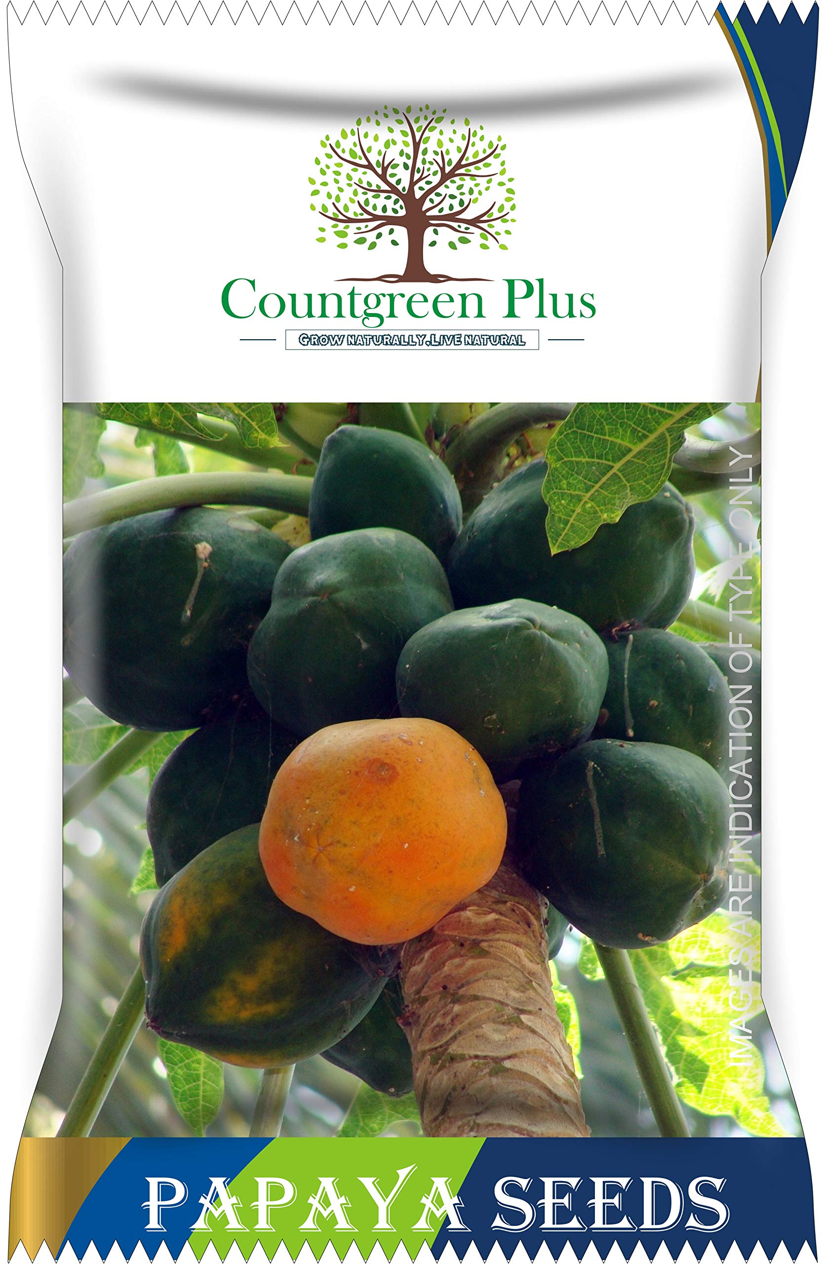See full amazon price history chart for Countgreen Plus Organic Dwarf Papaya Seeds (Papita) – Non-GMO, Compact Fruit Planting Seeds, Pack of 50, Ideal for Small Gardens and Container Growing Countgreen Plus Organic Dwarf Papaya Seeds (Papita) – Non-GMO, Compact Fruit Planting Seeds, Pack of 50, Ideal for Small Gardens and Container Growing (B092JDNCYV) Amazon Price History, Amazon Price Tracker