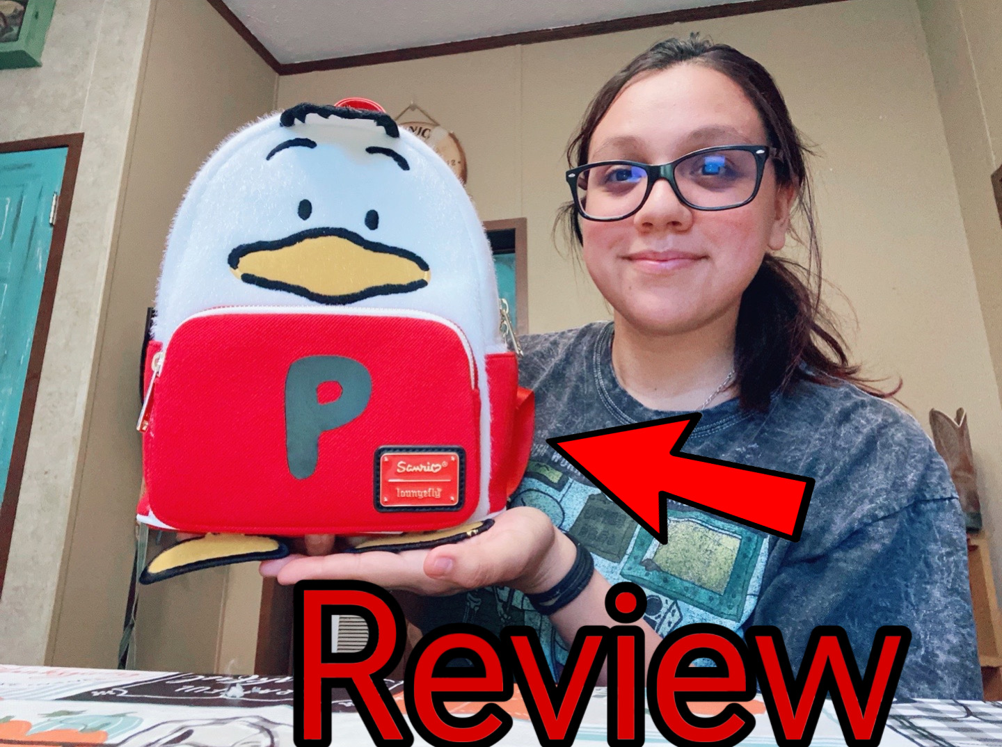 dva mini backpack Watch Honest Review pom zipper charm AE Heritage Backpack | Materiel:Canvas Movie_Big Hero 6