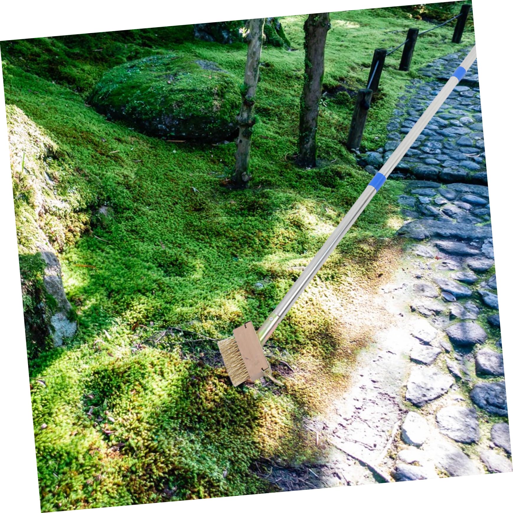 Unkrautbürste mit Langem Griff aus Edelstahl für Gehwegrisse