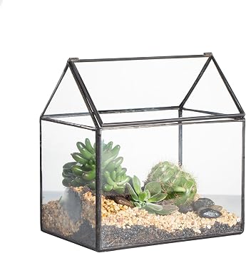NCYP Small 6.1" x 6.3" x 4.33" Glass Terrarium Box with Lid for Succulent, Air Plants - House Shape Closed Geometric Planter Pot - Home Garden Tabletop Decoration, Black No Plants