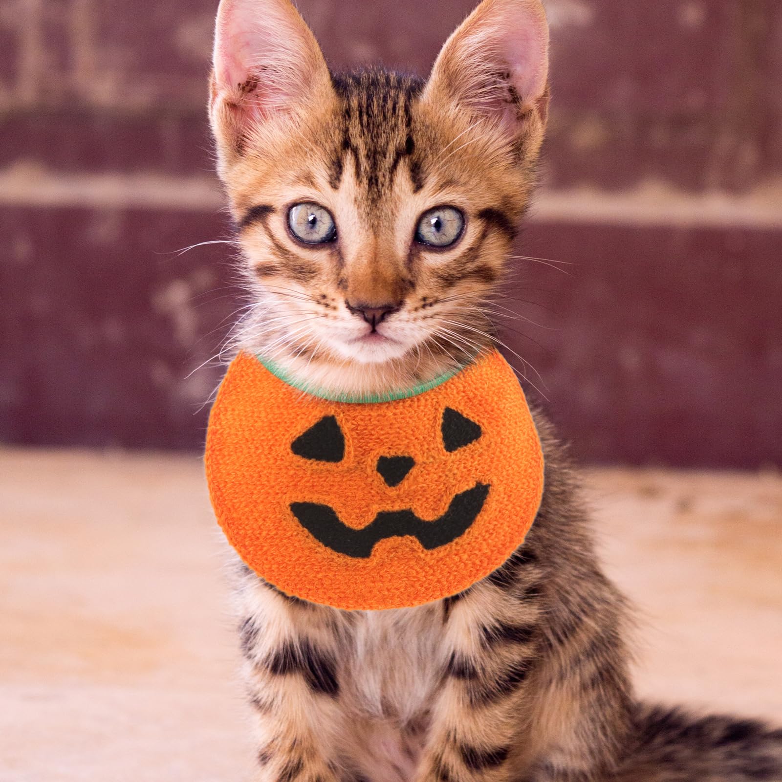 Sosoport Halloween Pumpkin Dog Bandana Dog Kerchief Pet Pumpkin Costume for Dogs Cats Pet Apparel, Orange, 60x11cm - Image 4