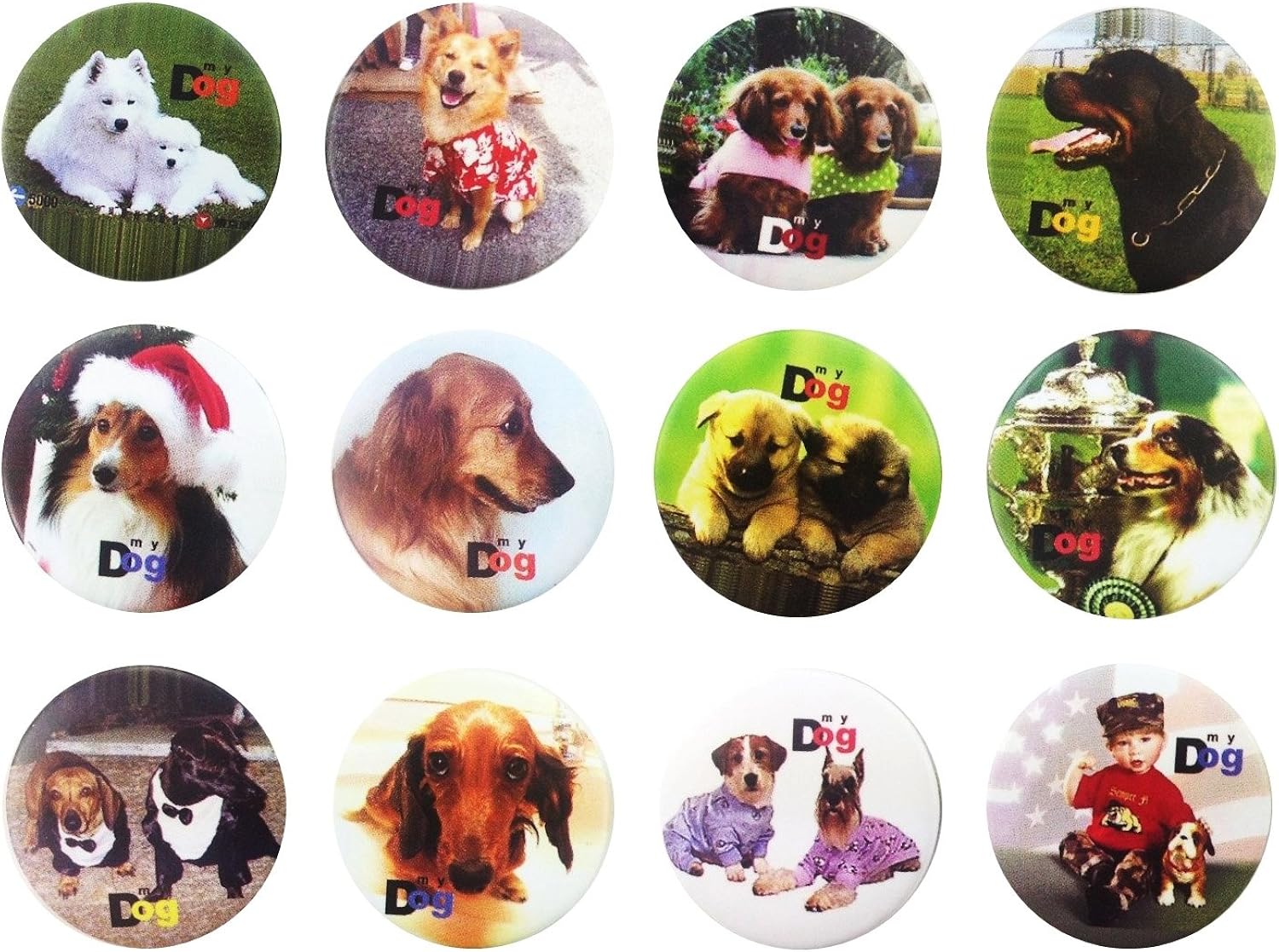 Set of 12 Dog Badges/ Buttons 30mm 2 Amazon.co.uk Clothing
