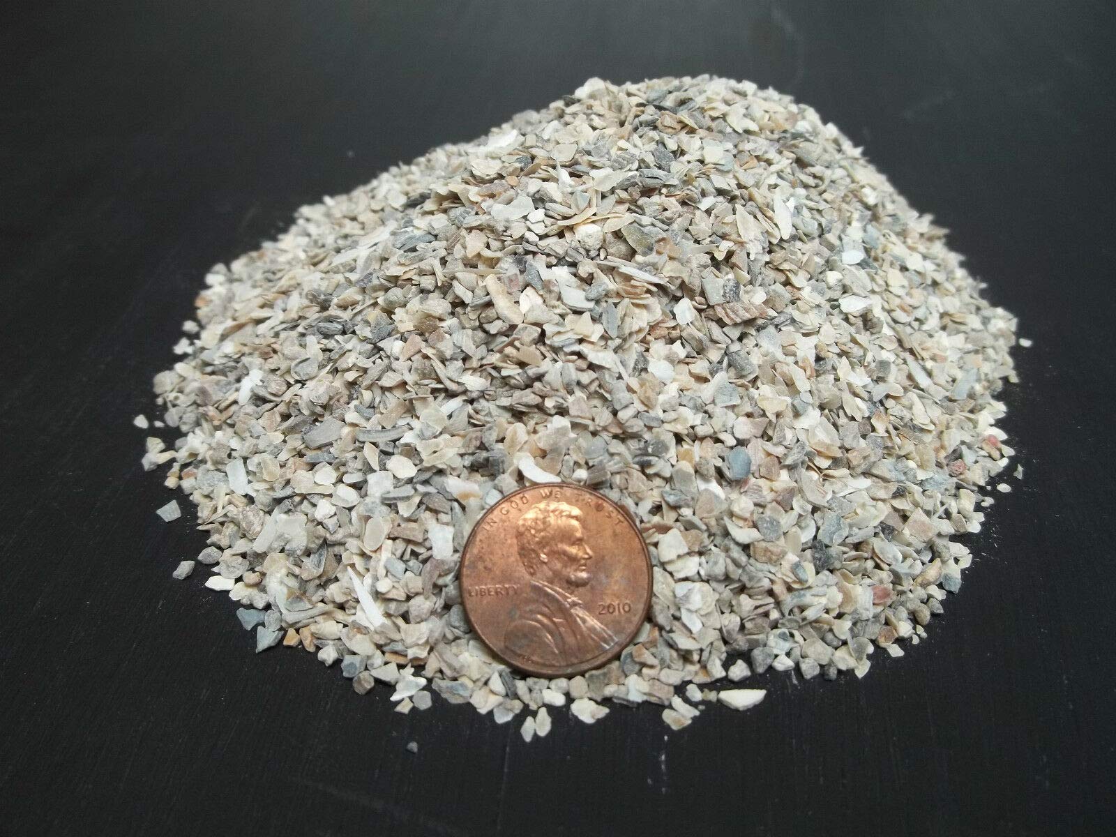 WiCorp_Crushed Oyster Shell Organic Fertilizer Soil Mineral Compost Nutrient 5 LB FINE_Please Read The Points Beside The Picture