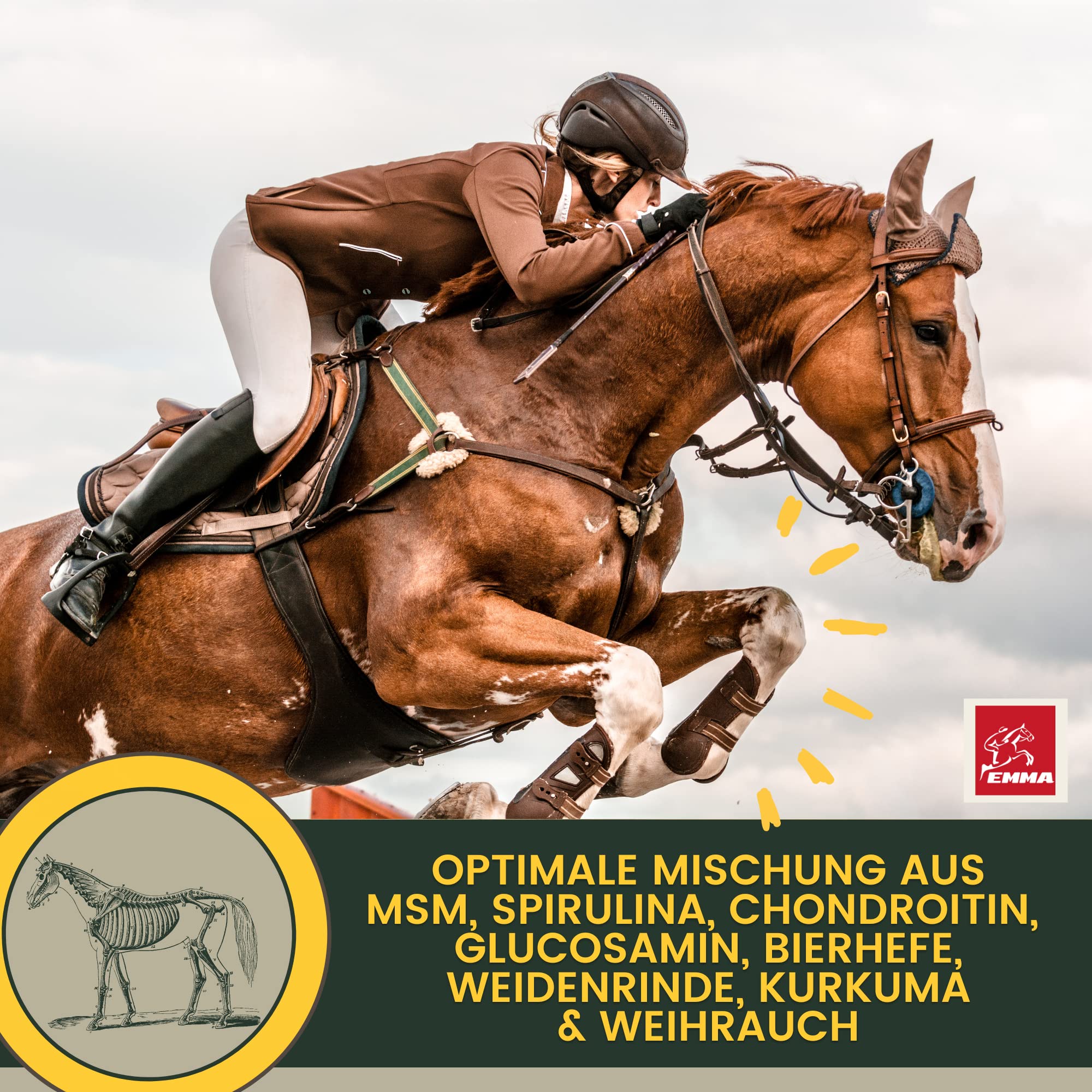 MSM Cheval écorce de Saule Cheval Equi P Pâte vitaminée Plus glucosamine chondroïtine Haute Dose Cheval Vitamine C levure de bière - Appareil locomoteur articulations tendons ligaments Cartilage 3pc