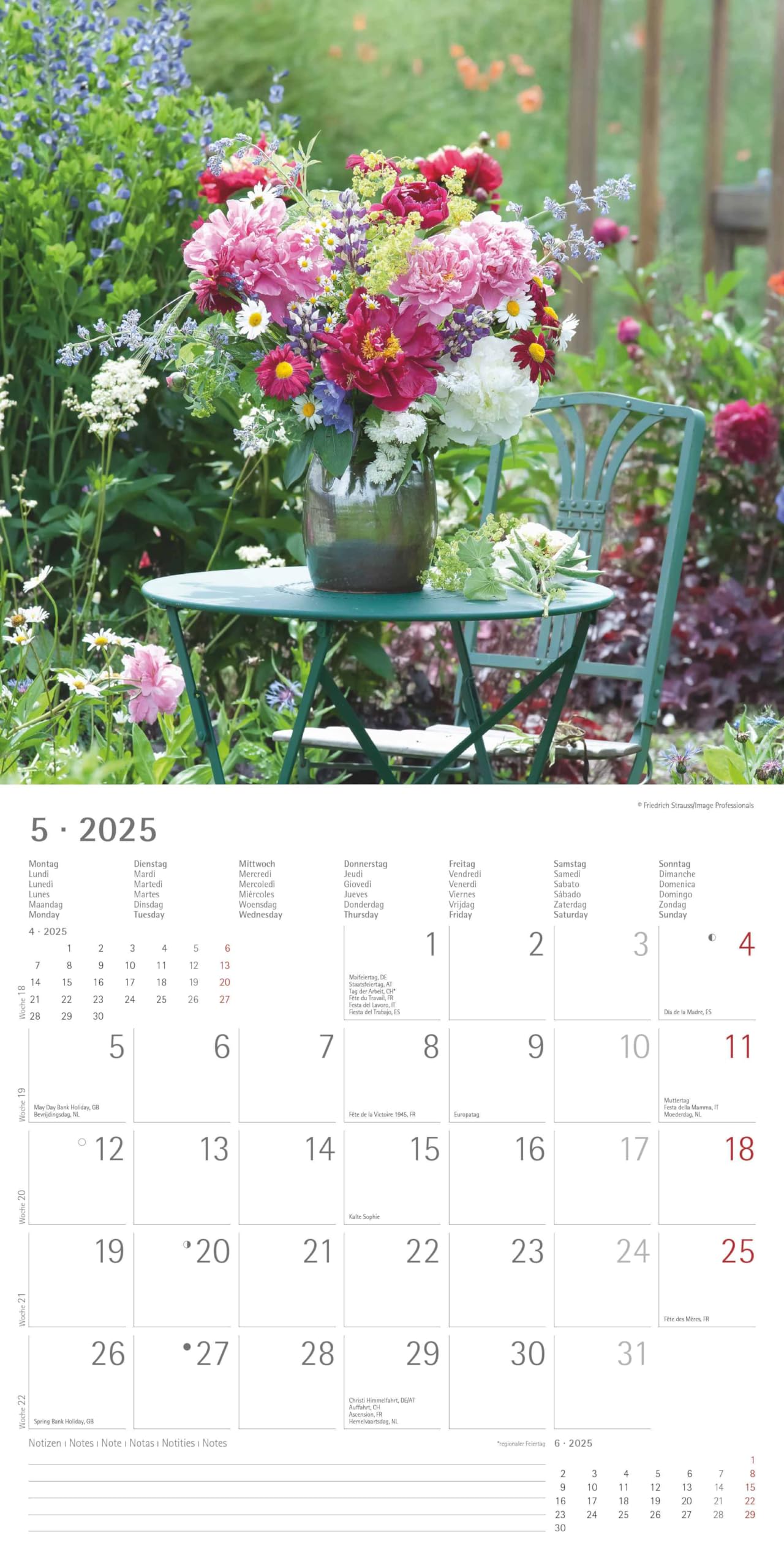 Garden & Decoration 2025 CALENDARIO DA PARETE 30X30 CM