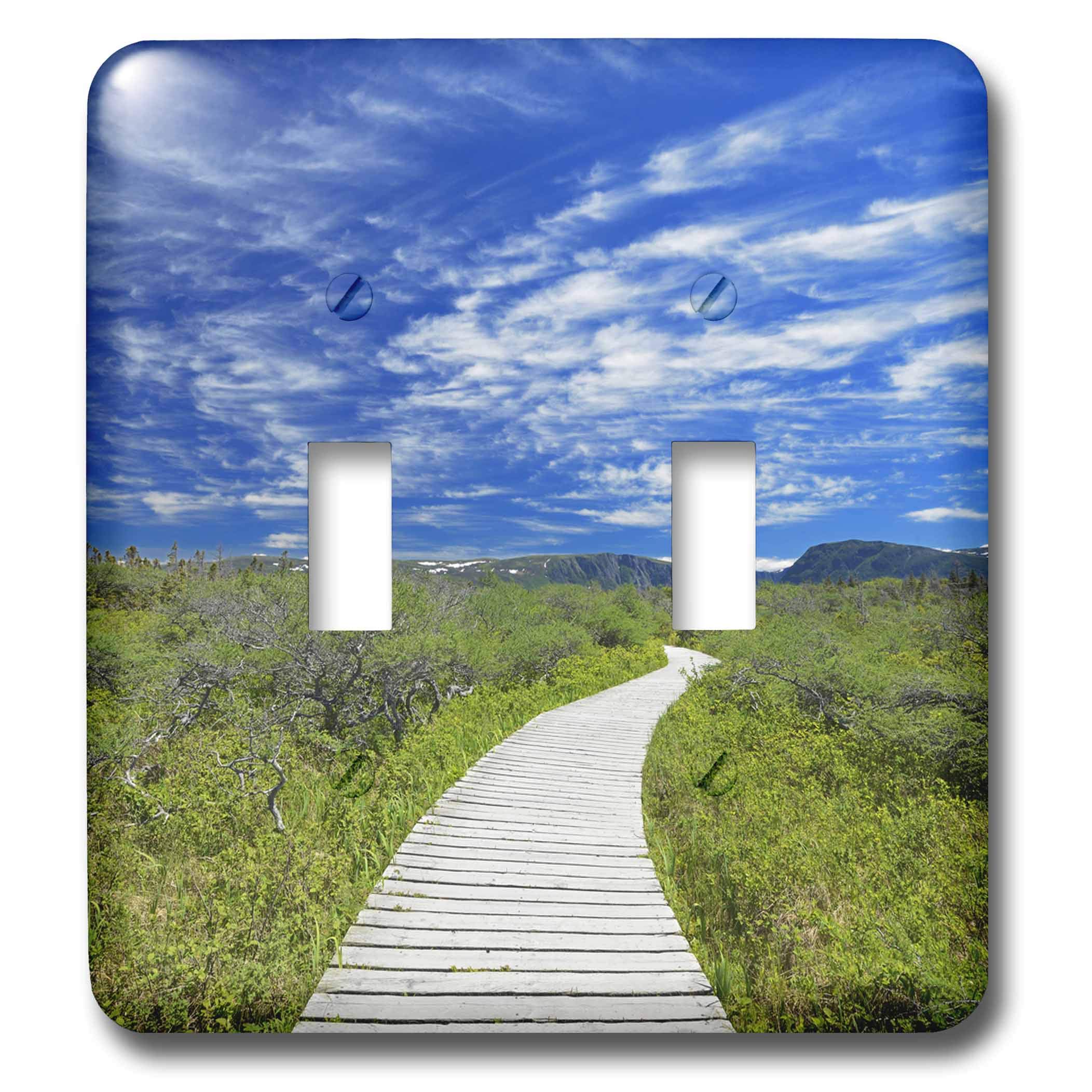 Placa de interruptor de luz del sendero de Gros Morne para salones rústicos